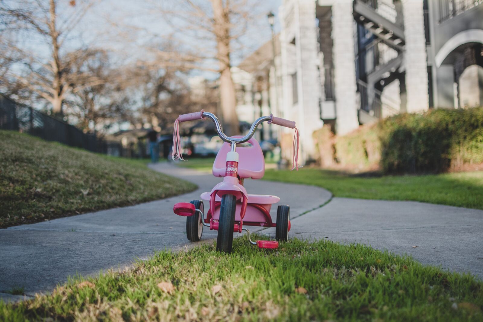 Nikon D750 sample photo. Tricycle, bike, toy photography
