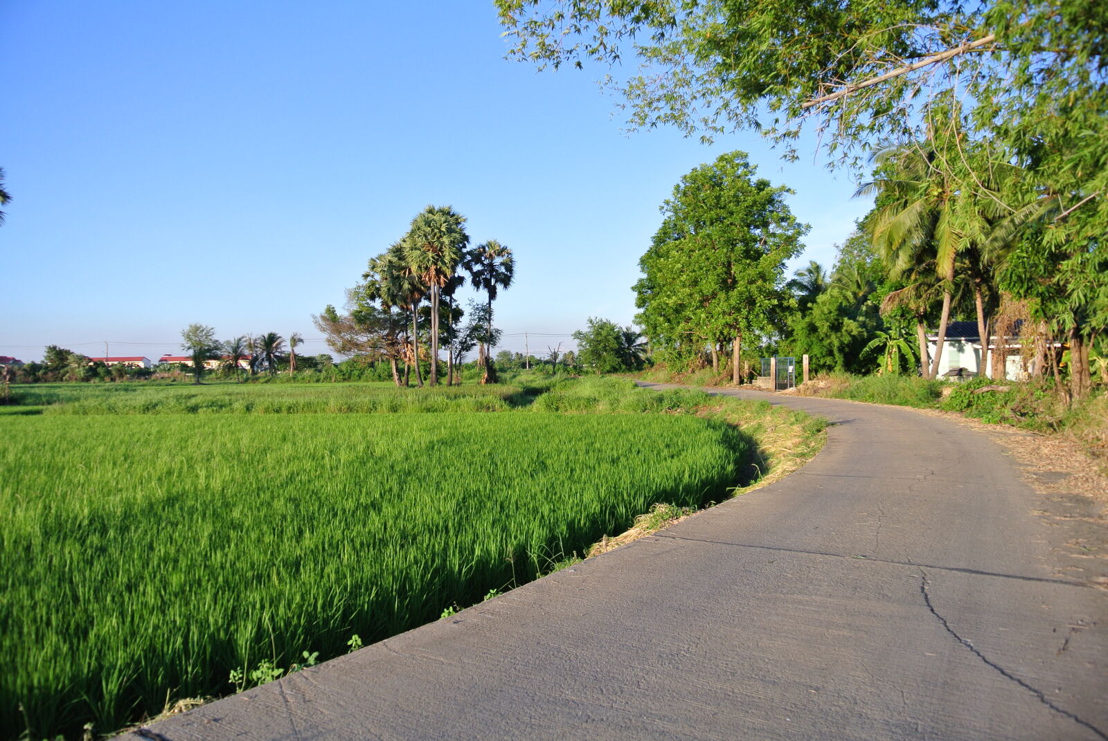 Nikon 1 J1 sample photo. Landscape photography