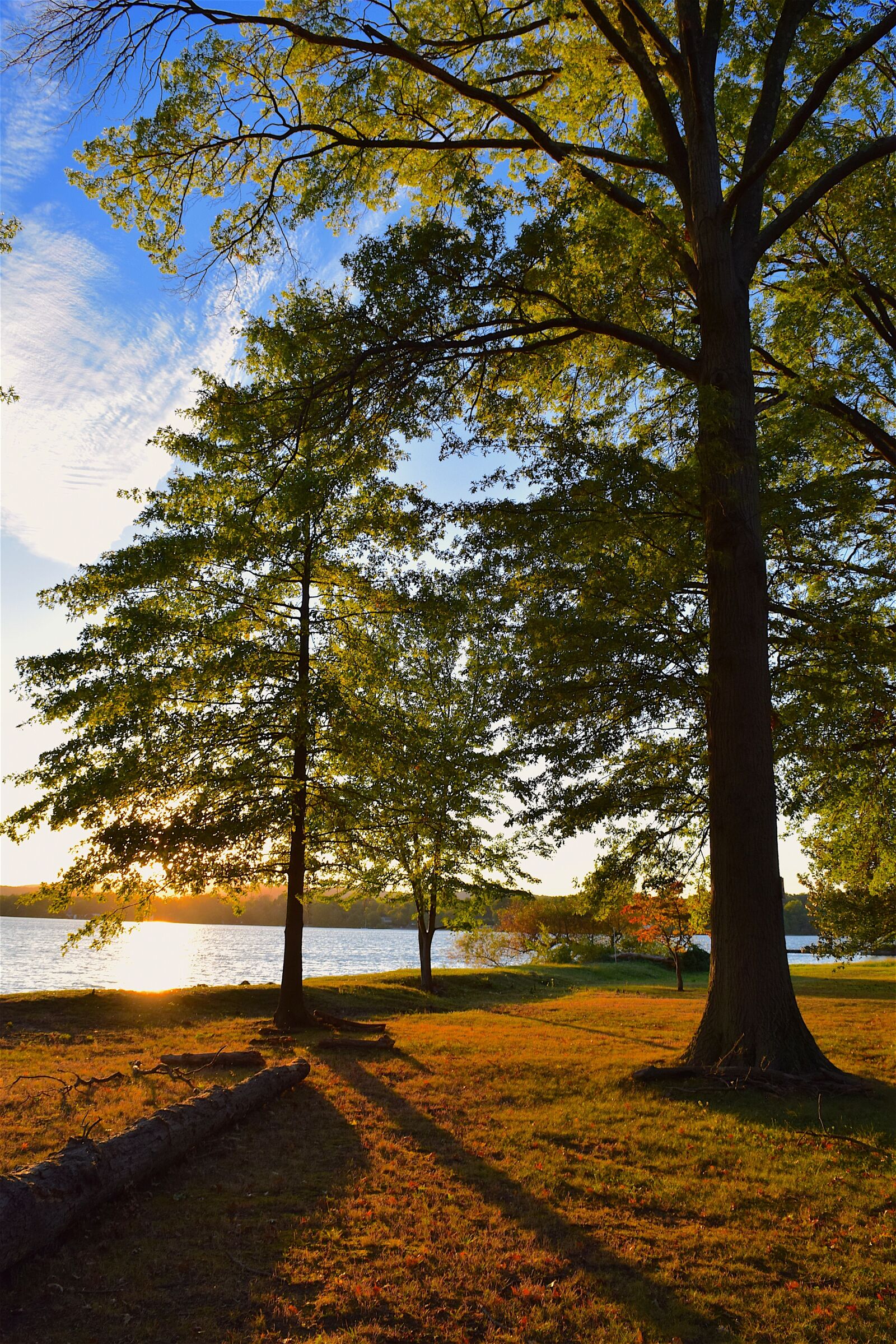 Nikon D3300 sample photo. Sunset, tree, lake photography