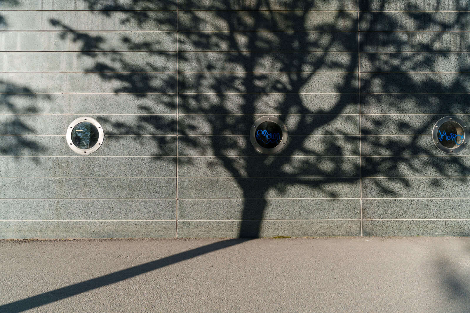 Sony a7R V sample photo. Shadow tree photography