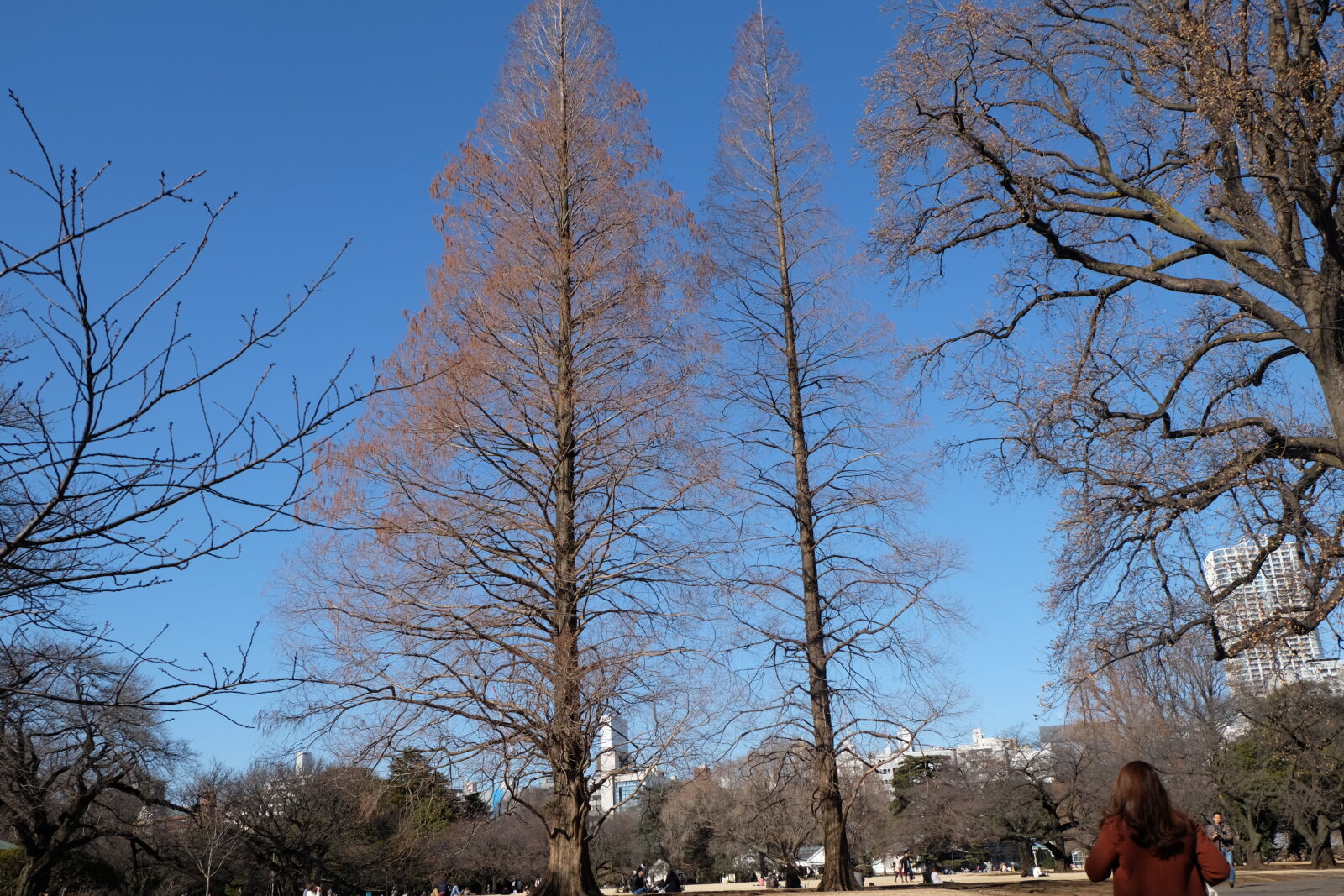 Fujifilm X-M1 sample photo