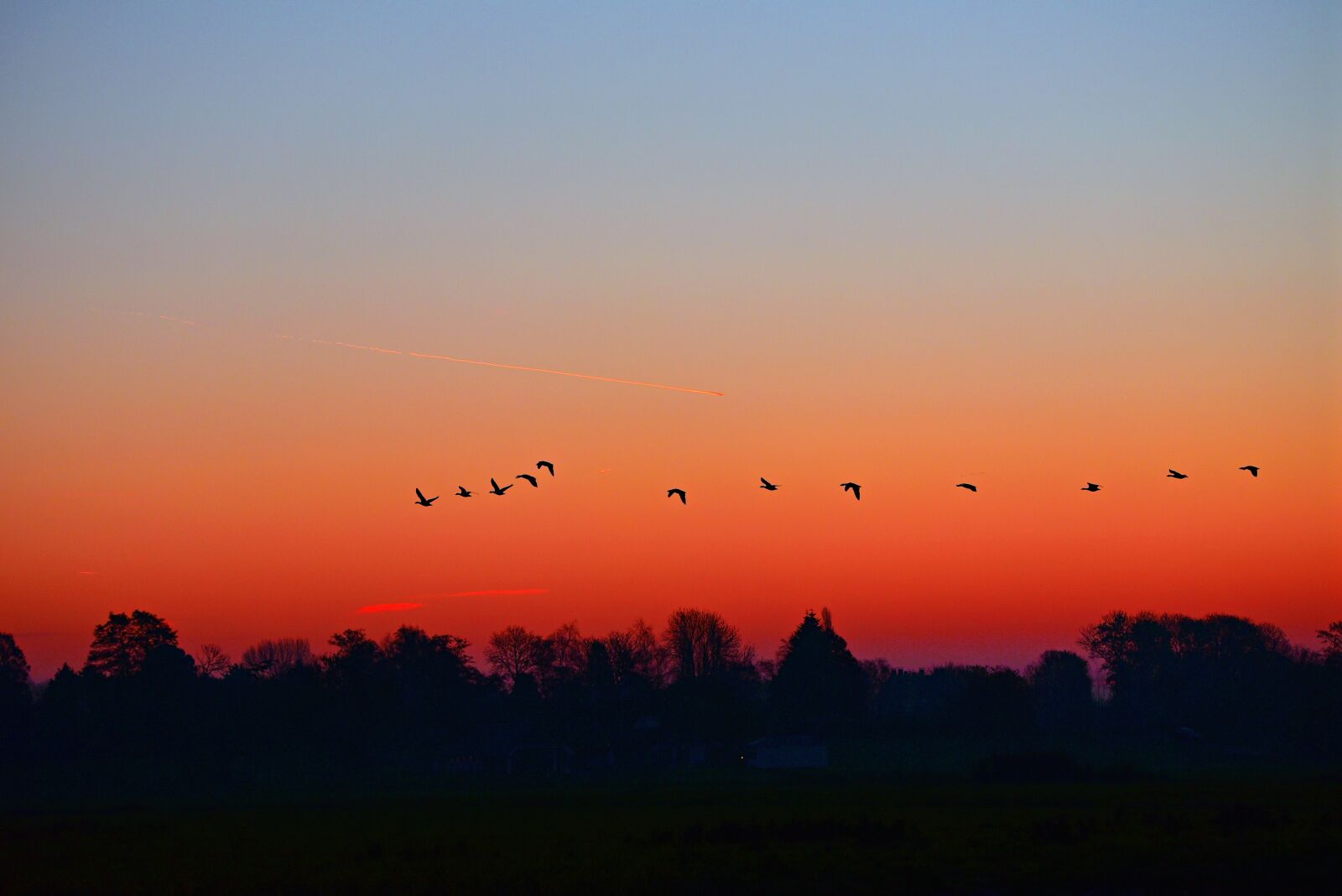 Nikon D750 sample photo. Dawn, sunrise, early morning photography