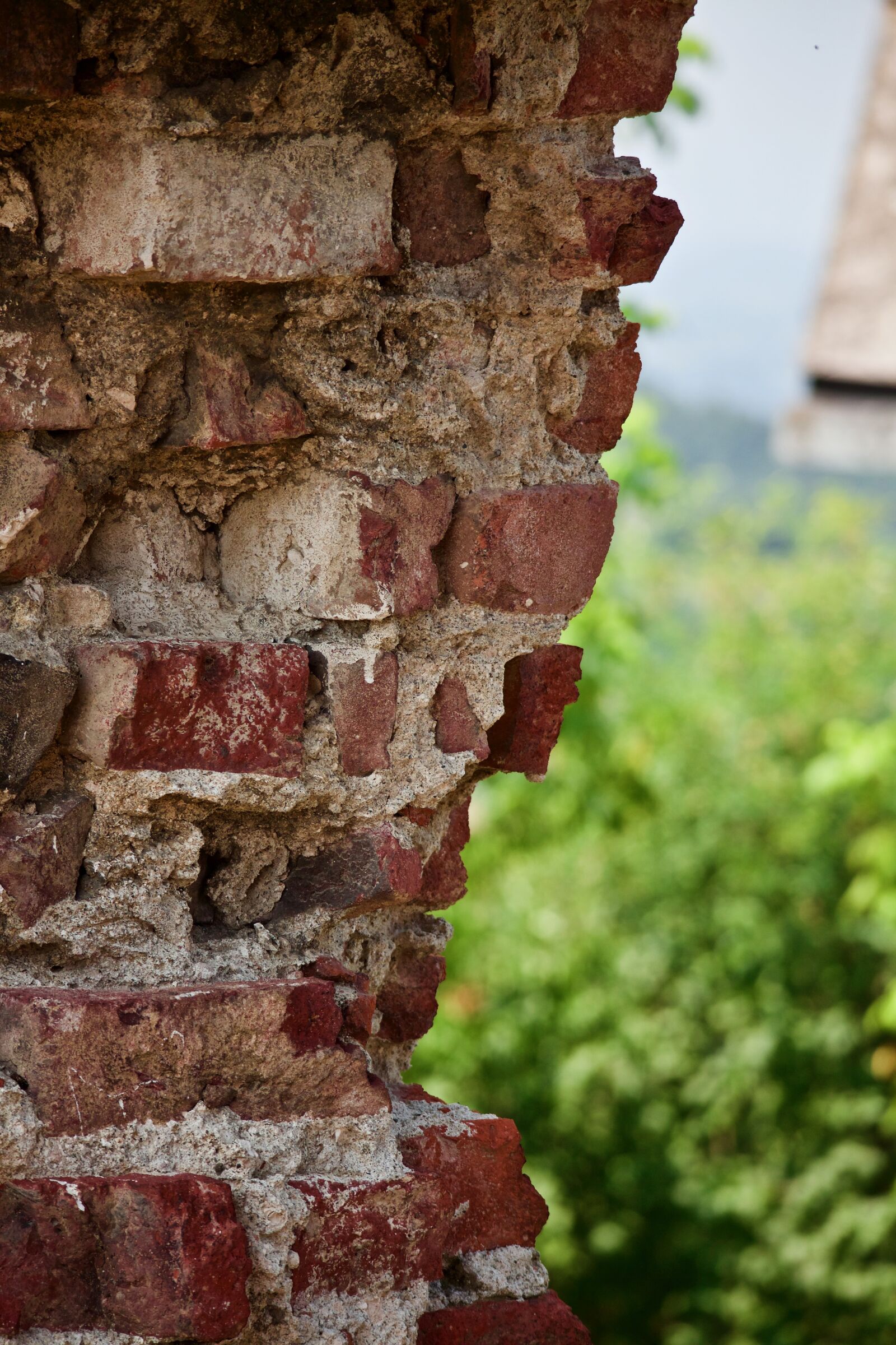 Canon EOS M + Canon EF-M 55-200mm F4.5-6.3 IS STM sample photo. Wall, bricks, rossi photography