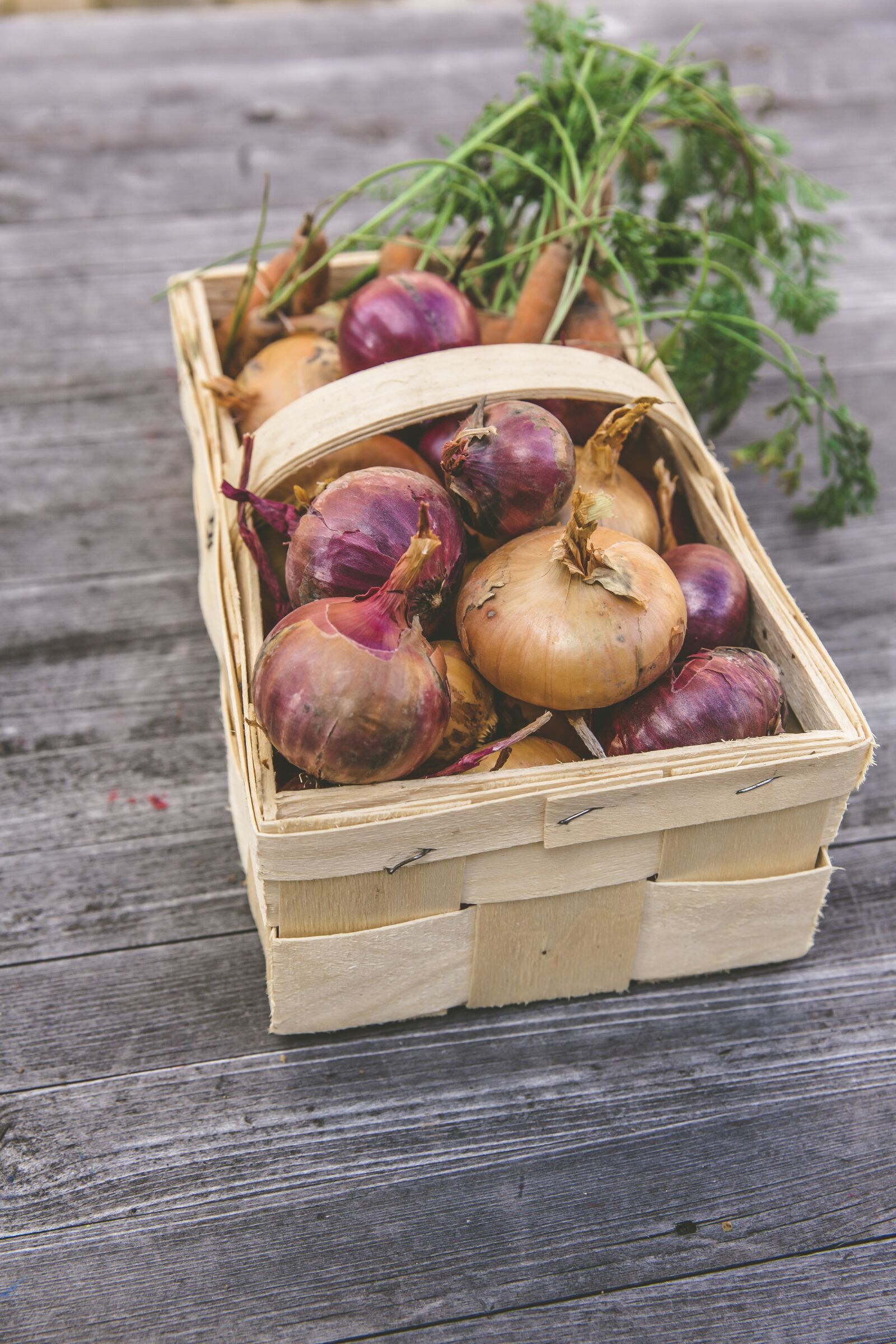 Canon EF 24-70mm F2.8L II USM sample photo. Vegetables, harvest, cultivation photography