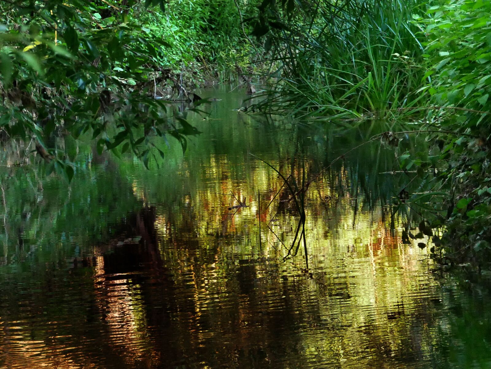 Panasonic Lumix DMC-GX85 (Lumix DMC-GX80 / Lumix DMC-GX7 Mark II) sample photo. Wallpaper, river, reflections photography