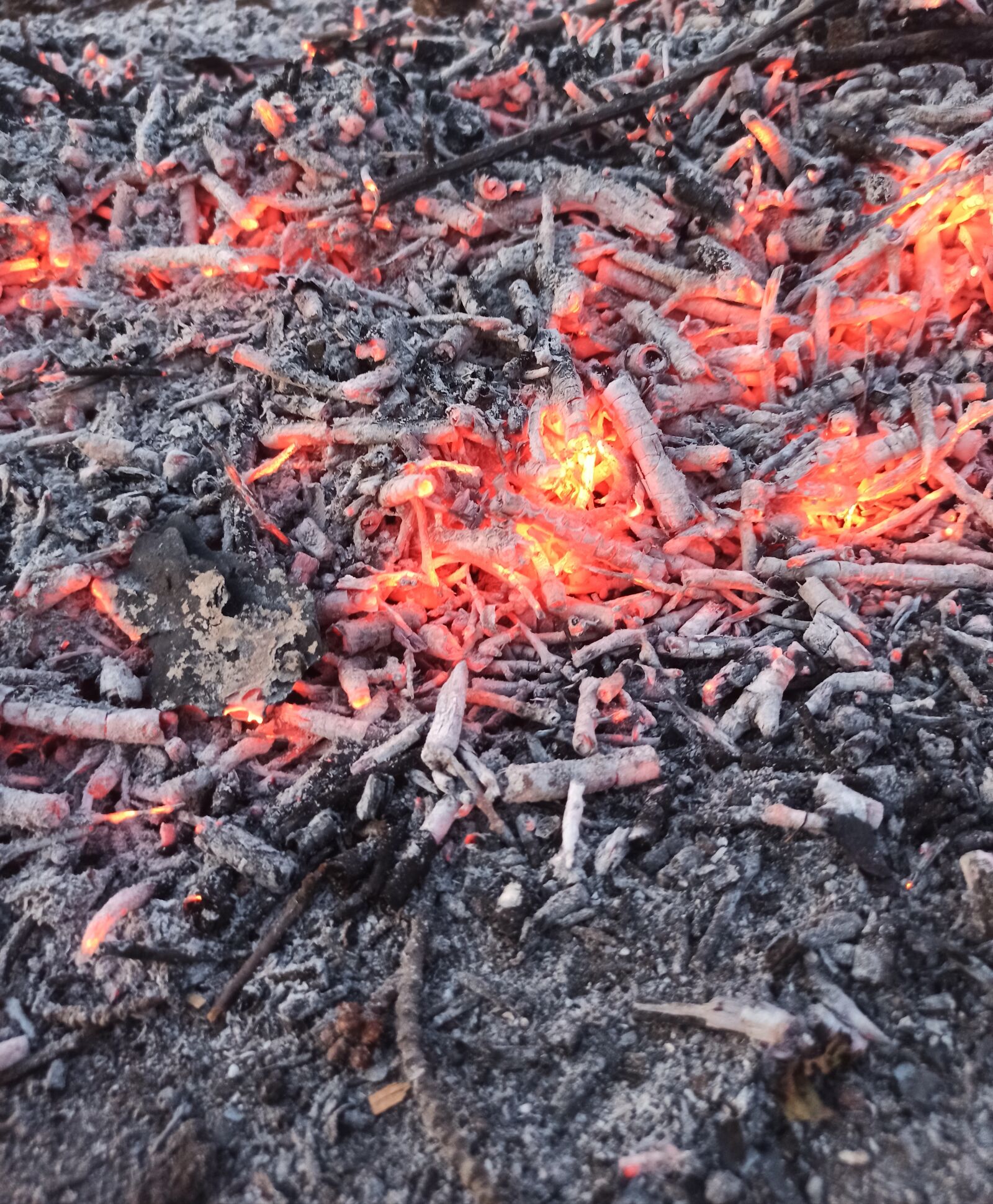 Xiaomi Redmi Note 8 Pro sample photo. Ash, fire, bonfire photography