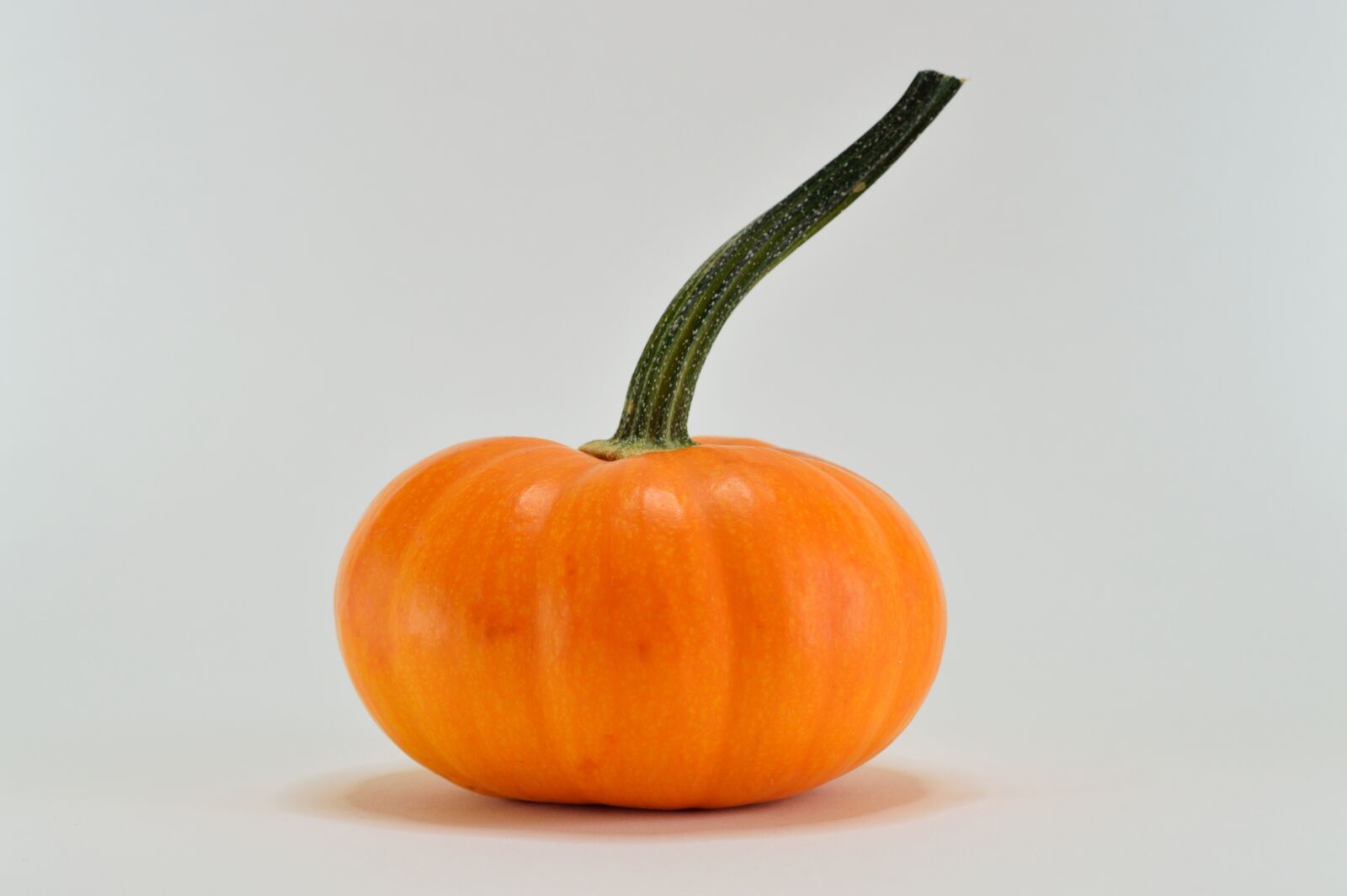Nikon D3200 sample photo. Pumpkin, orange, season photography