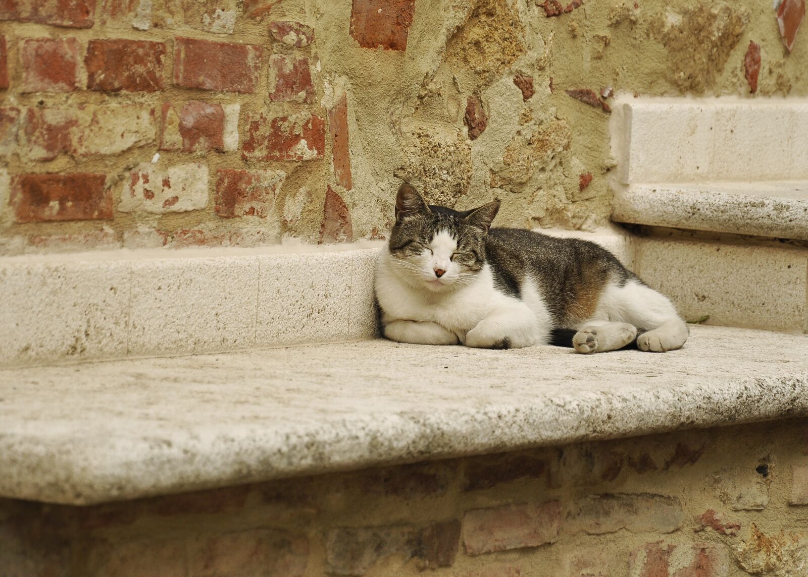 Nikon D90 sample photo. Tuscany, italy, holidays photography