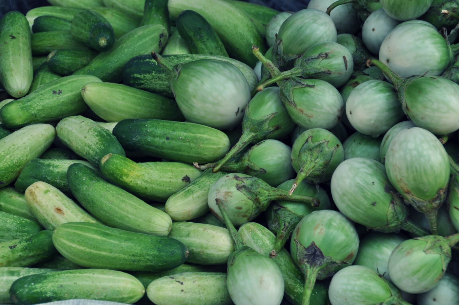 Nikon D5000 sample photo. Vegetables, green, market photography