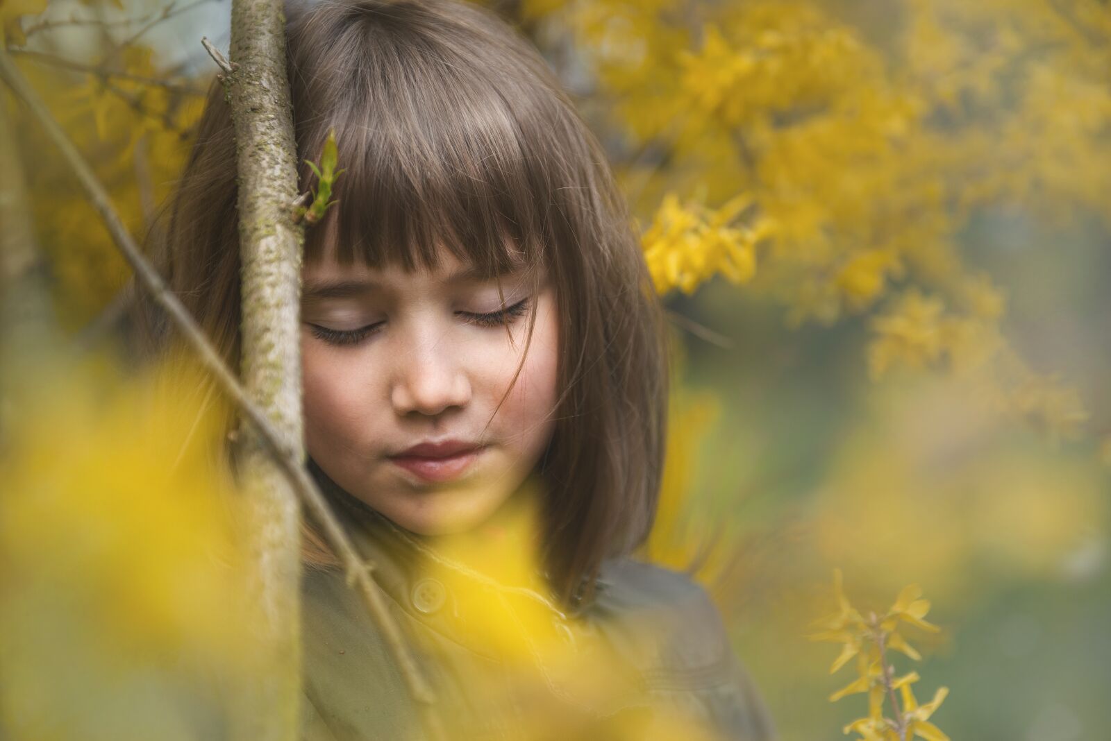 Nikon D800E sample photo. Girl, laburnum, flowers photography