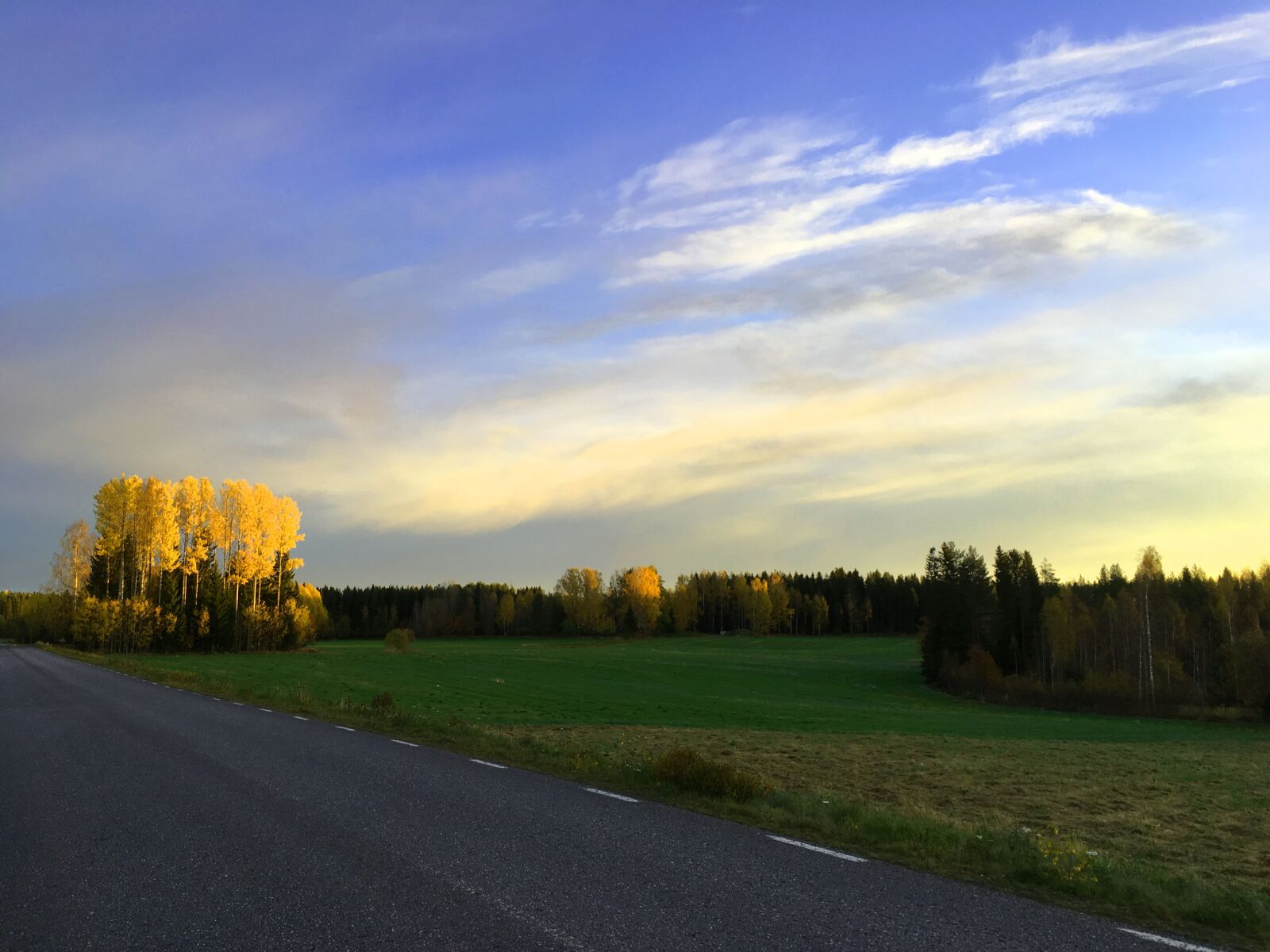 iPhone SE back camera 4.15mm f/2.2 sample photo. Ultervattnet, autumn, himmel photography
