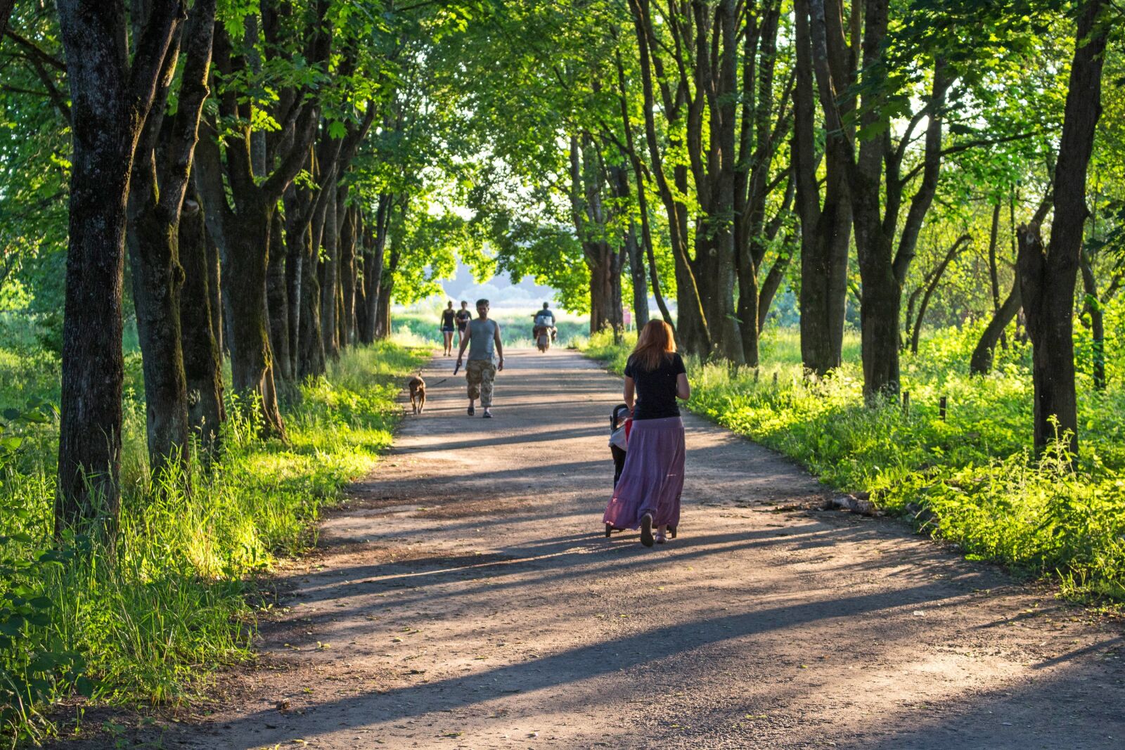 Canon EOS 100D (EOS Rebel SL1 / EOS Kiss X7) sample photo. Alley, basswood, river photography