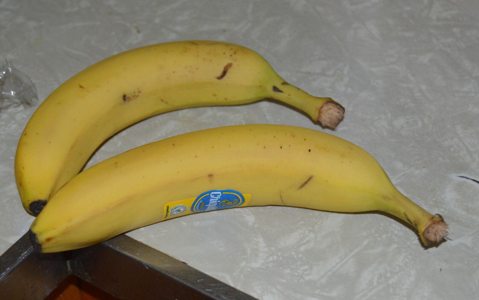 Nikon D3200 sample photo