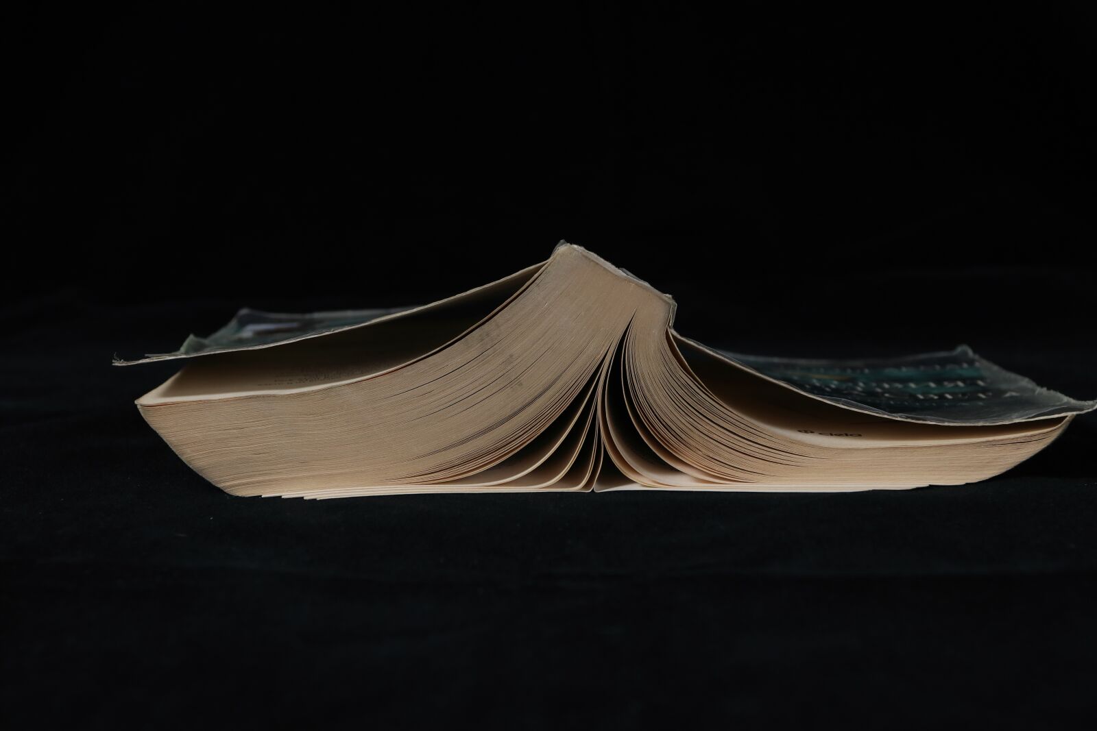 Canon EF 16-35mm F2.8L II USM sample photo. Book, black, background photography