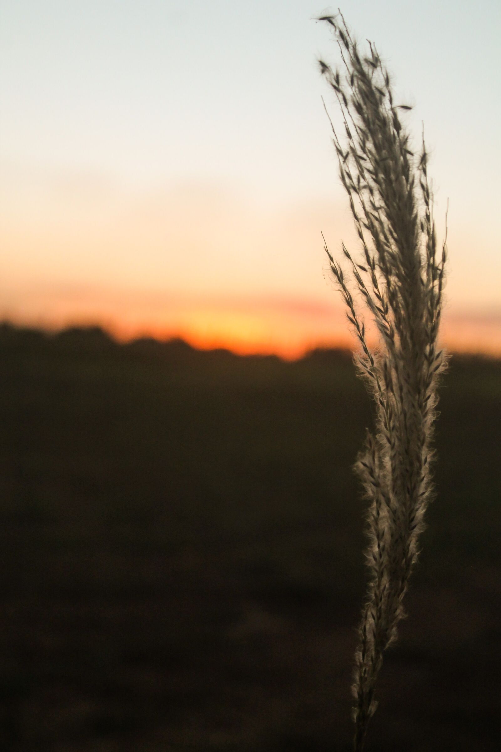 Canon EOS 1100D (EOS Rebel T3 / EOS Kiss X50) sample photo. Sunset, twilight, brazil photography