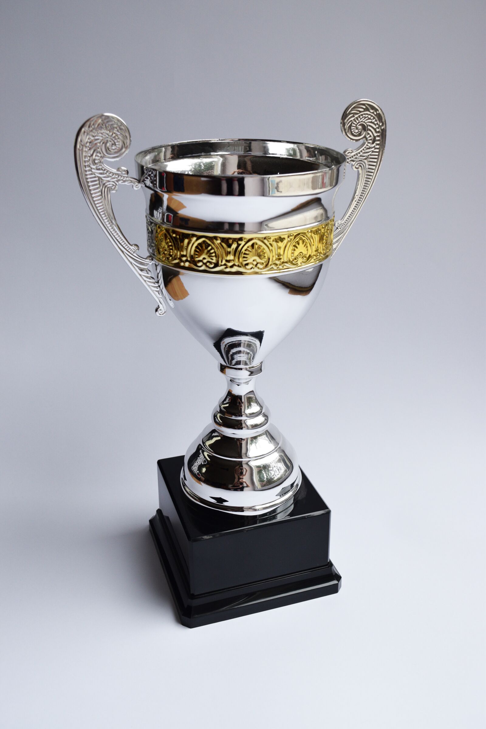 Nikon D3300 sample photo. Trophy, award, winner photography