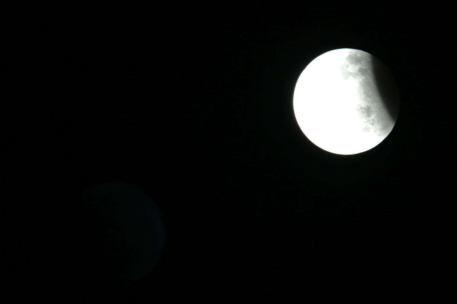 Canon EOS 7D Mark II sample photo. Black, black, and, white photography