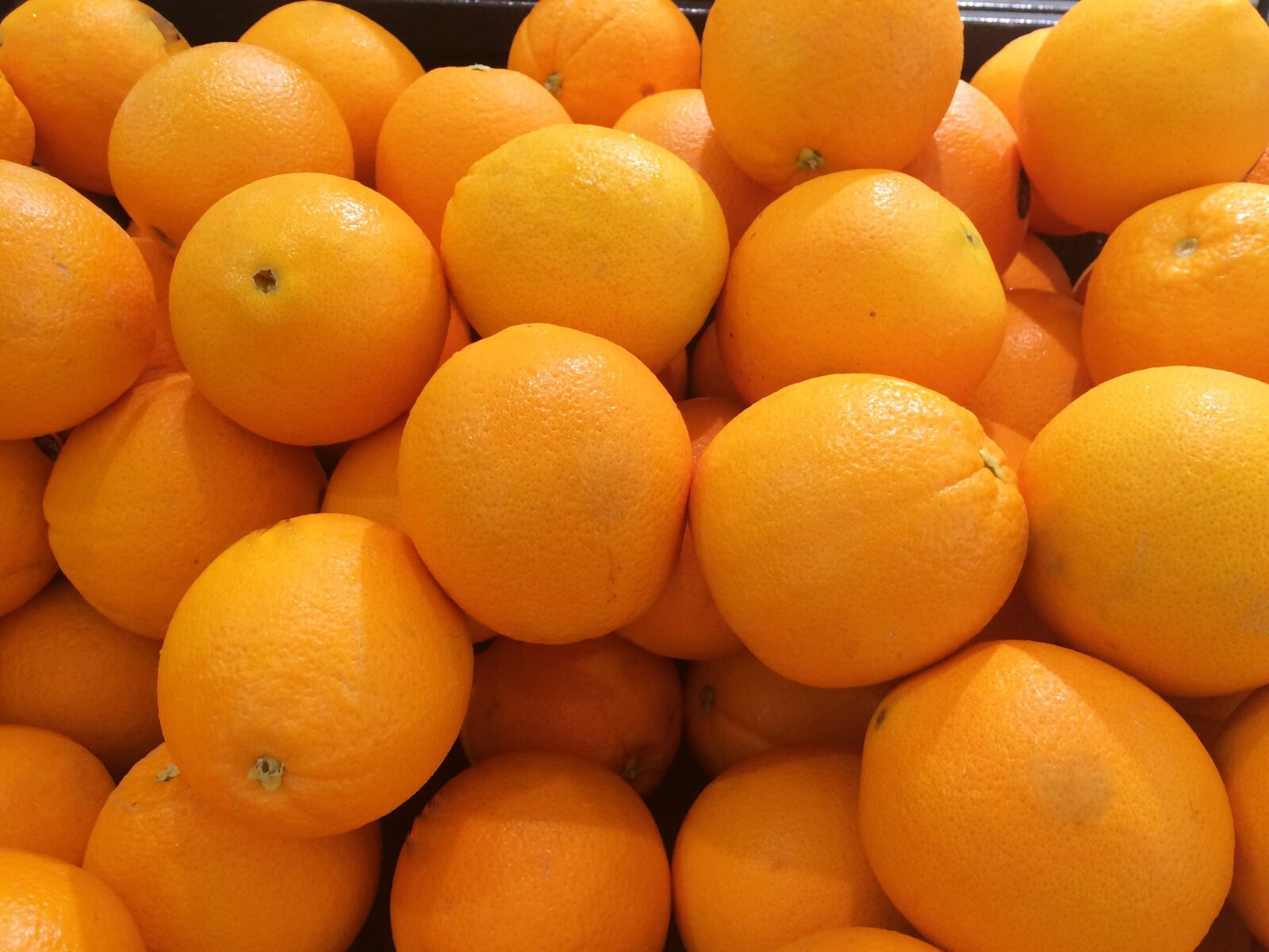 iPhone 5s back camera 4.15mm f/2.2 sample photo. Orange, california production, fruit photography