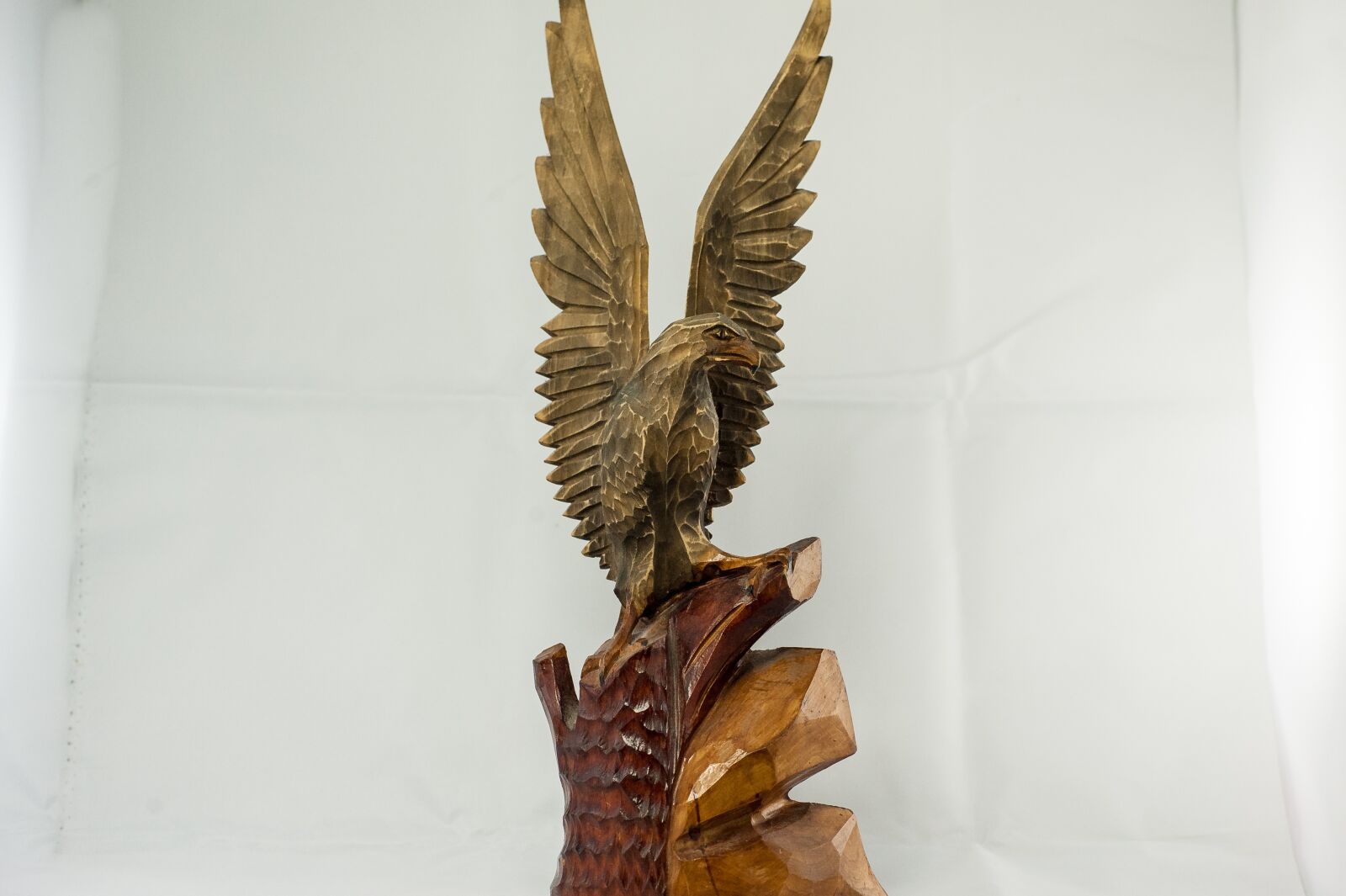 Nikon D700 sample photo. Adler, wing, wood photography