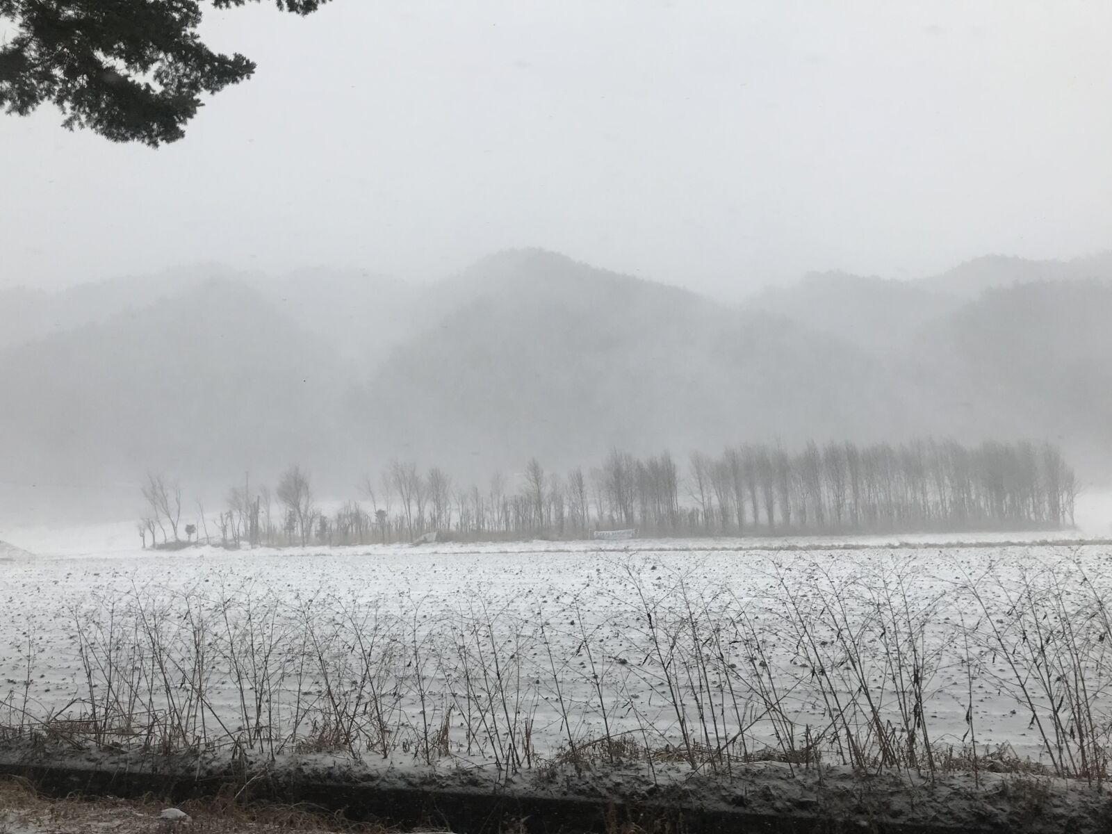 iPhone 7 back camera 3.99mm f/1.8 sample photo. Winter, snow, cloudy photography