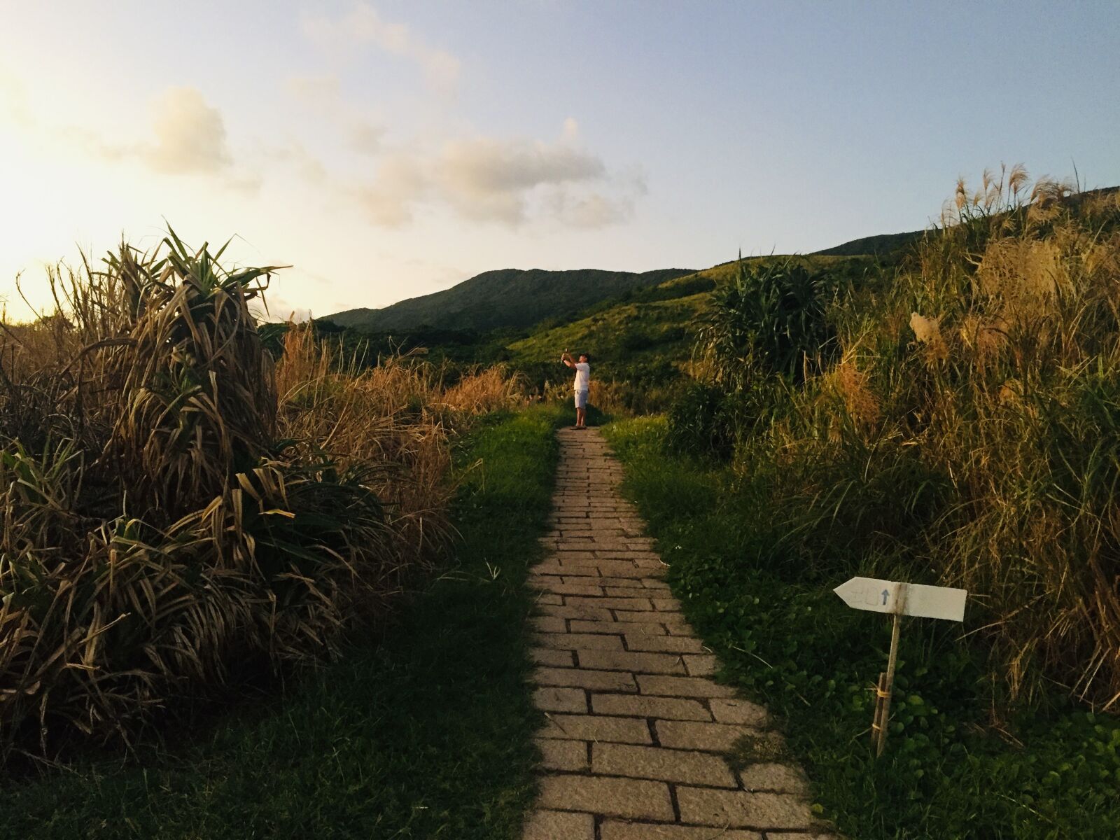 iPhone 6 back camera 4.15mm f/2.2 sample photo. Island, footpath, sky photography
