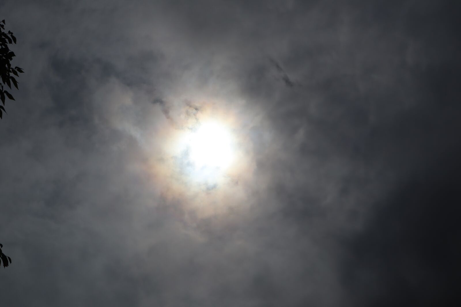Canon EOS M50 (EOS Kiss M) sample photo. Solar, light, in the photography