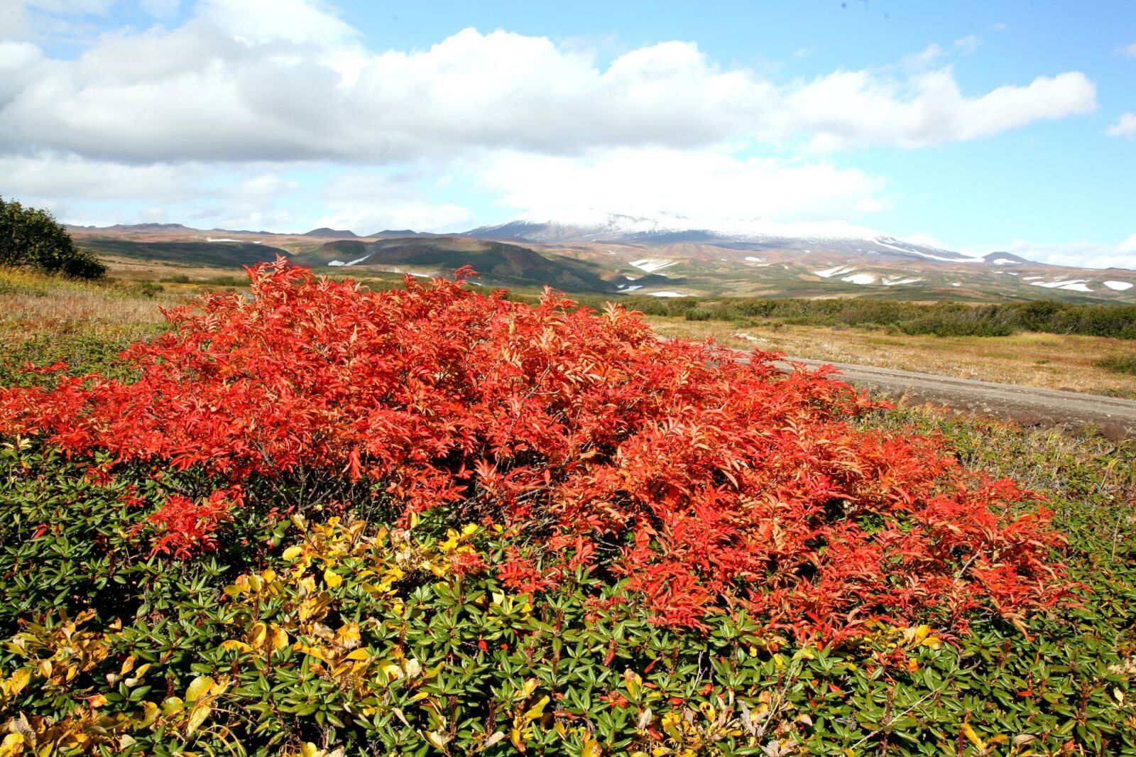 Canon EOS 5D sample photo. Autumn, mountains, mountain plateau photography