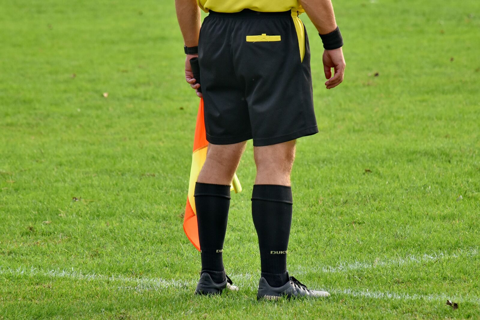 Nikon D5500 sample photo. Competition, field, flag, football photography