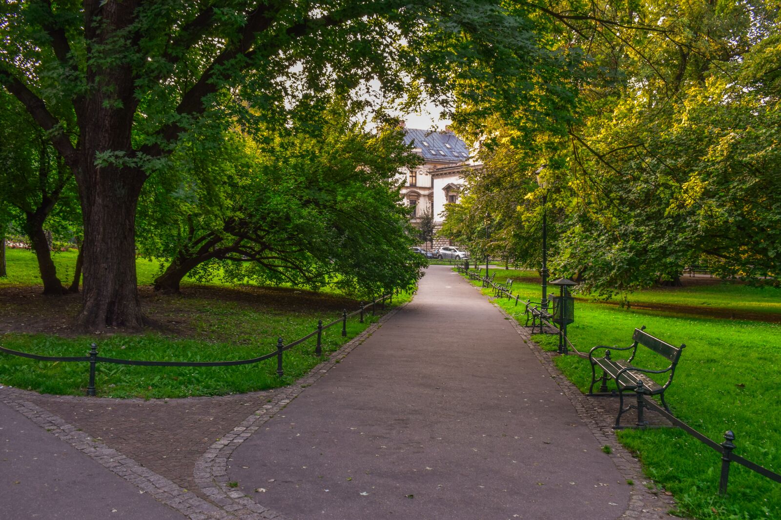 Nikon D3300 sample photo. Park, bench, path photography