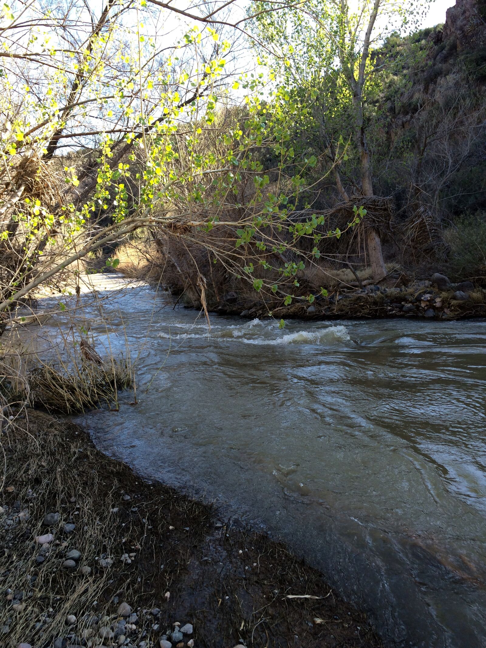 iPhone 5s back camera 4.15mm f/2.2 sample photo. Az, fossil, creek, united photography