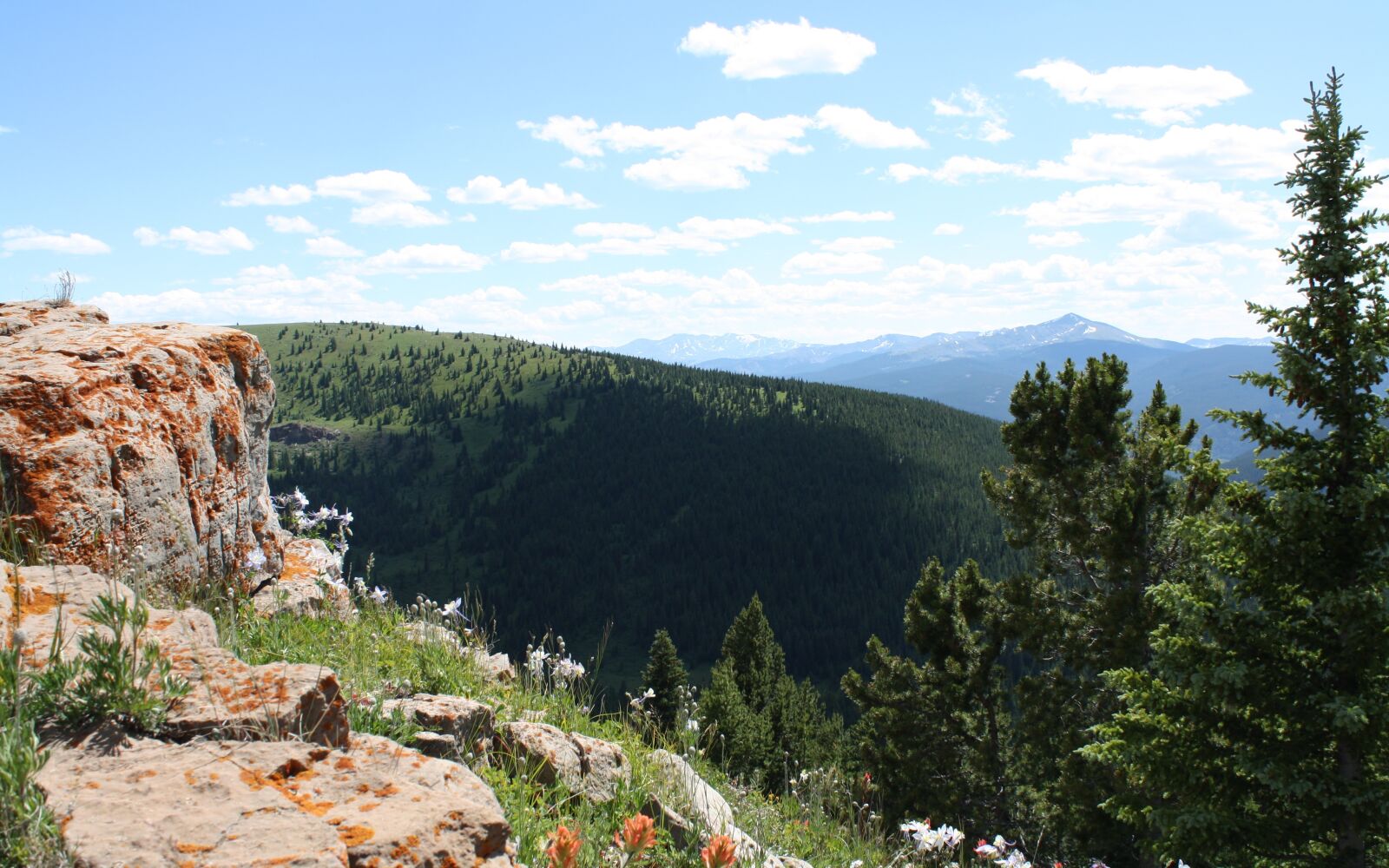 Canon EOS 1000D (EOS Digital Rebel XS / EOS Kiss F) sample photo. Colorado, summer, mountains photography