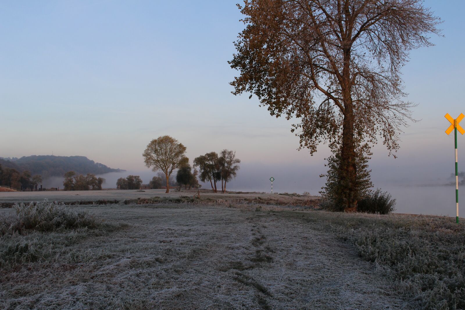 Canon EOS 100D (EOS Rebel SL1 / EOS Kiss X7) sample photo. Nature, frost, winter photography
