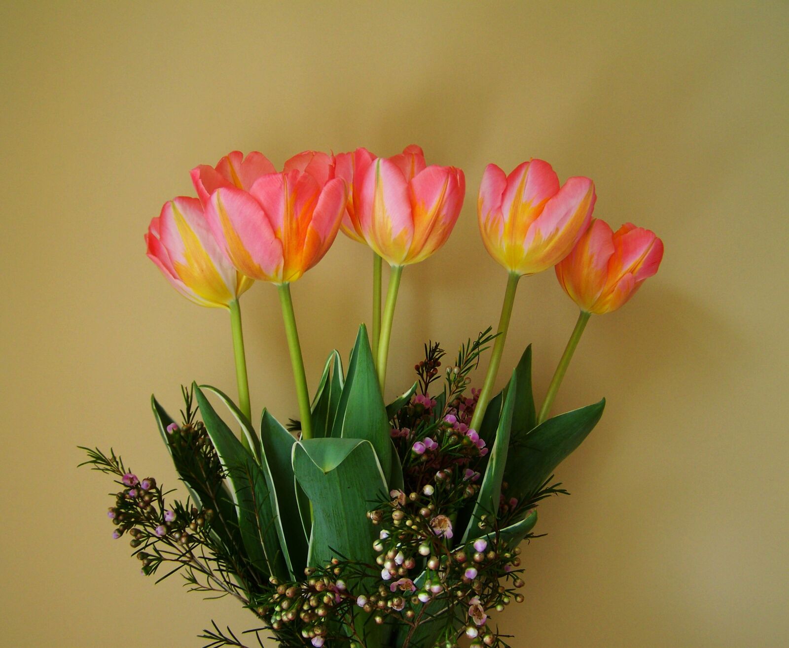 Kodak EASYSHARE ZD710 ZOOM DIGITAL CAMERA sample photo. Tulip bouquet, yellow-pink flowers photography