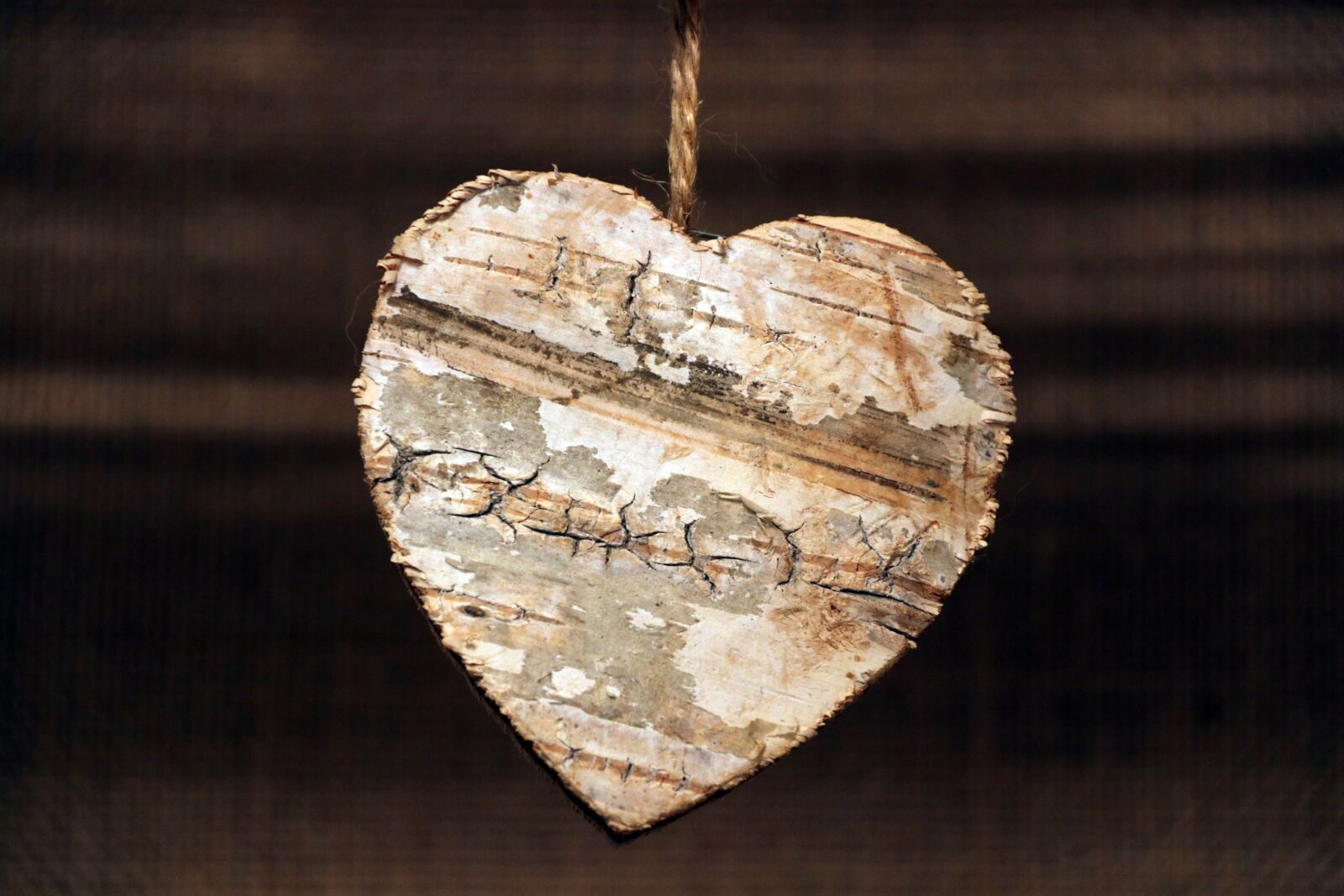 Canon EOS 80D sample photo. Heart, wood, colors of photography
