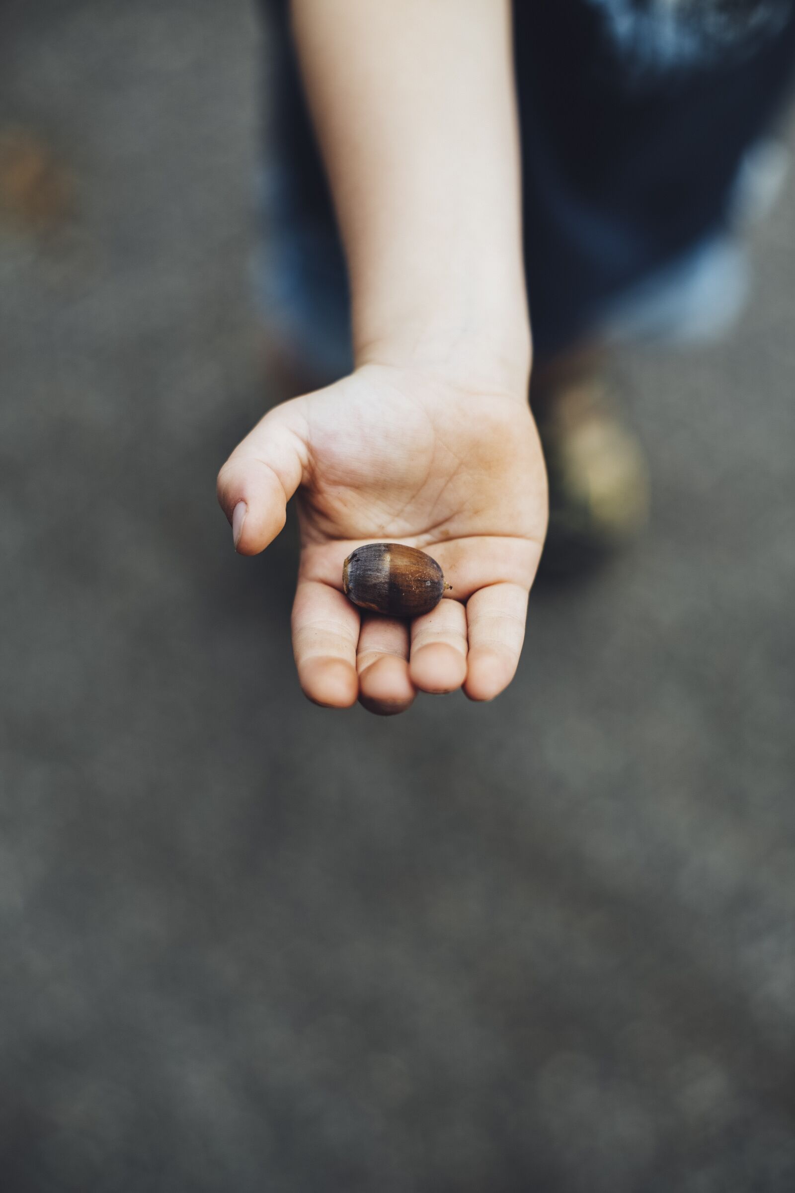 Canon EOS 5D Mark III sample photo. Child, forest, hand photography