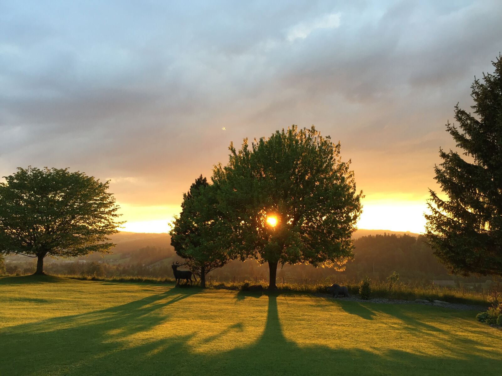 iPhone 6 Plus back camera 4.15mm f/2.2 sample photo. Nature, natural, sunset photography