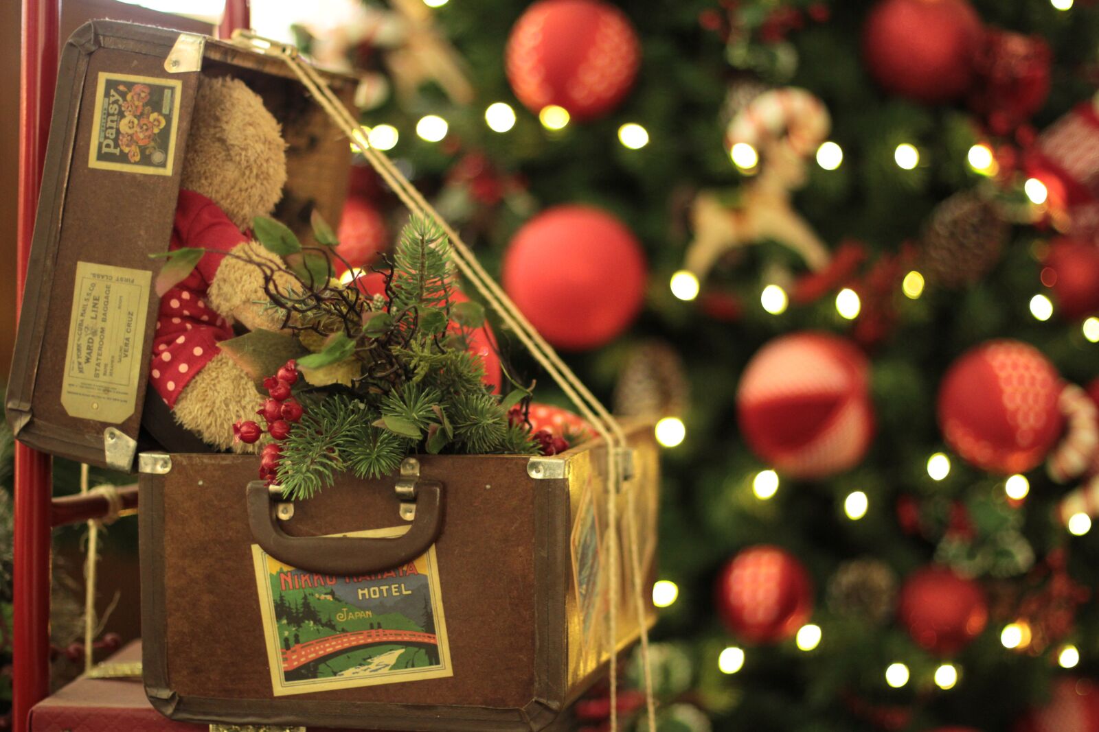 Canon EOS 7D + Canon EF 50mm F1.4 USM sample photo. Christmas, background, colors photography