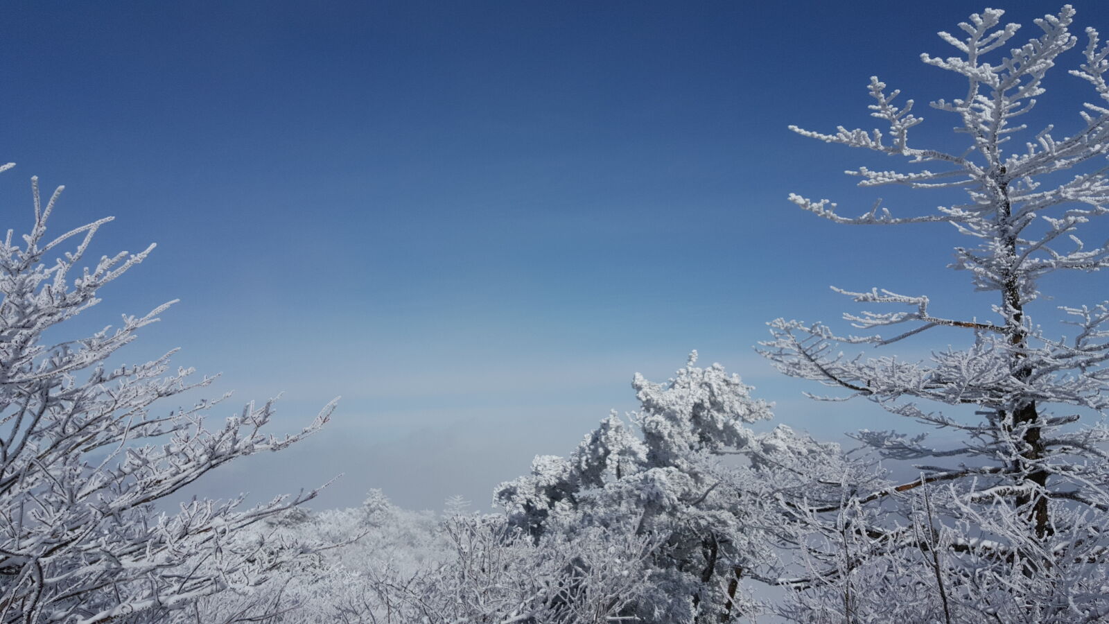 Samsung Galaxy Note5 sample photo. Korea, mountain, taebaeksan, winter photography