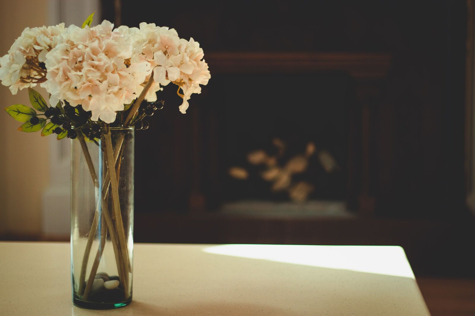 Canon EOS 600D (Rebel EOS T3i / EOS Kiss X5) sample photo. Flower, flower vase, house photography