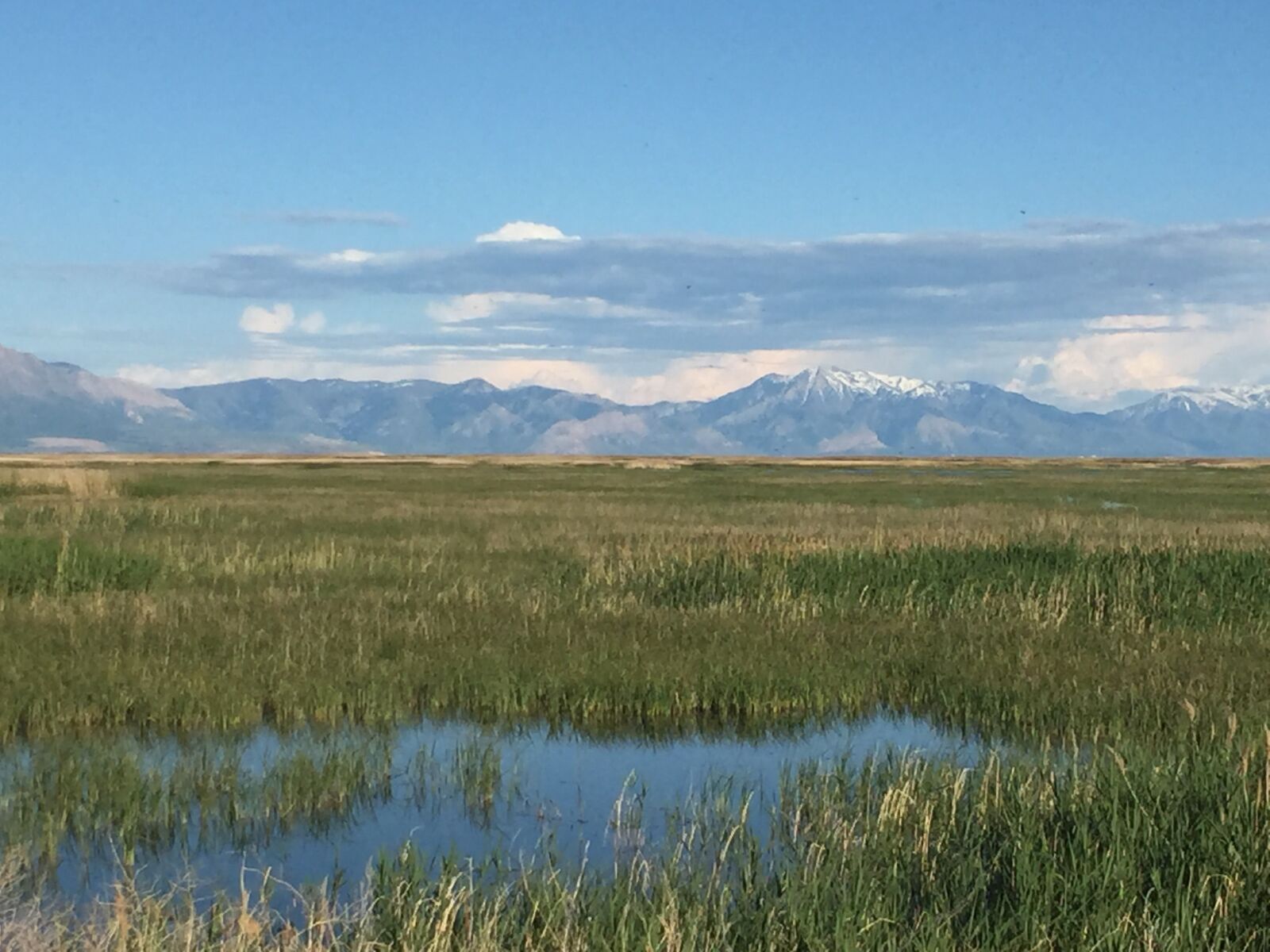 iPhone 6 back camera 4.15mm f/2.2 sample photo. Bird refuge, mountain, marsh photography