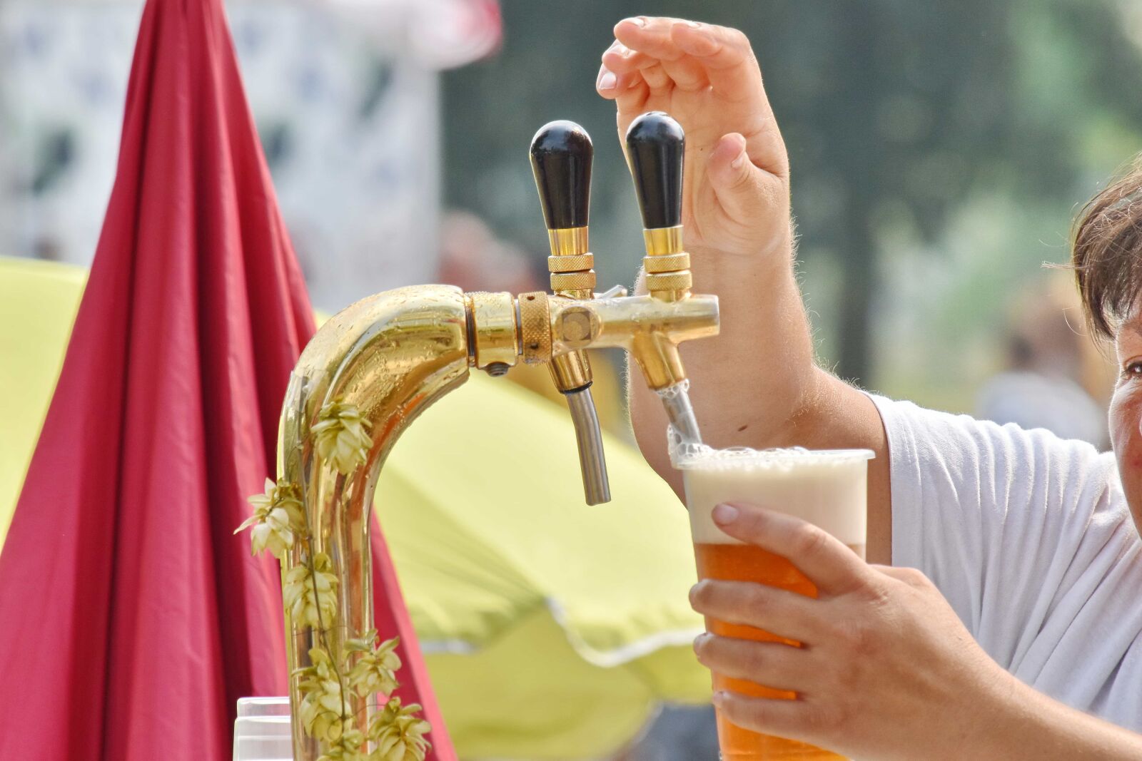 Nikon D5500 sample photo. Beer, beer glass, drink photography