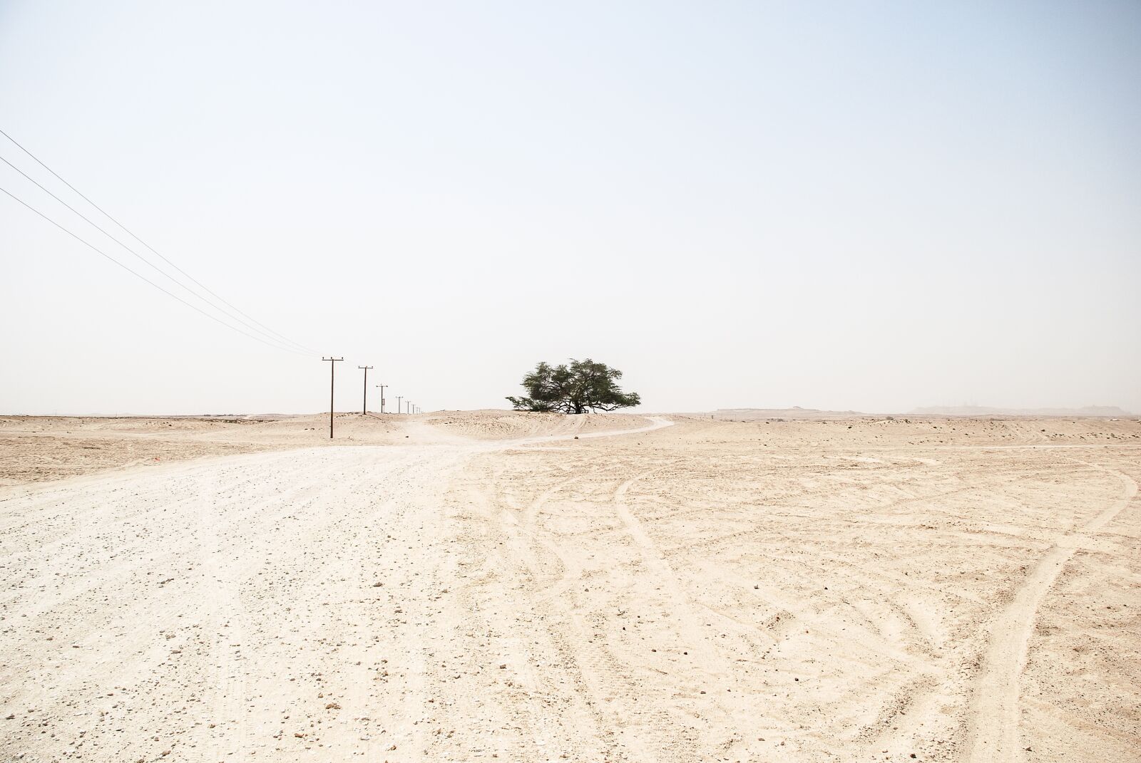 Nikon D40X sample photo. Barren, desert, nature photography