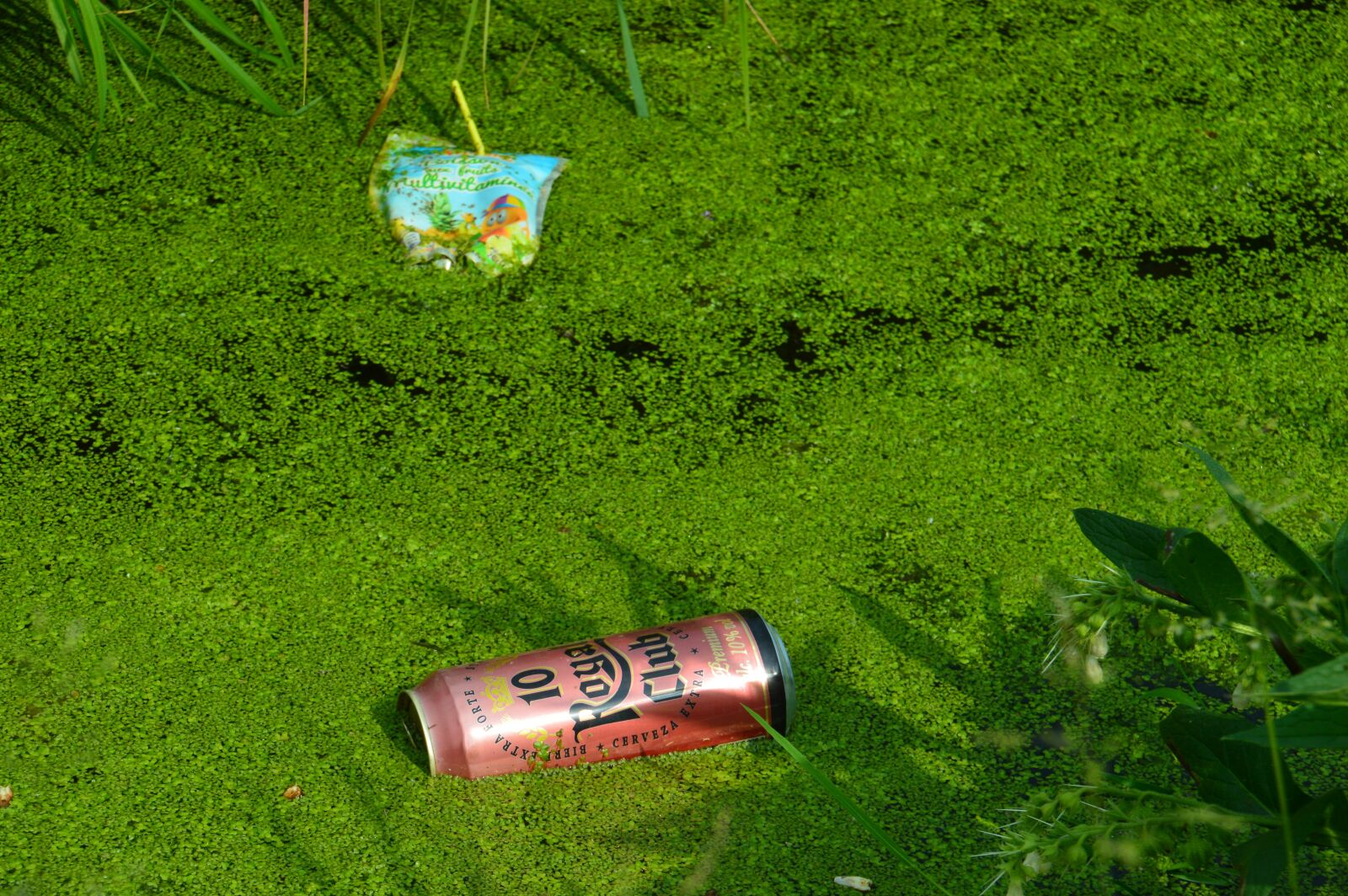 Nikon D3200 sample photo. Waste, pollution, trash photography
