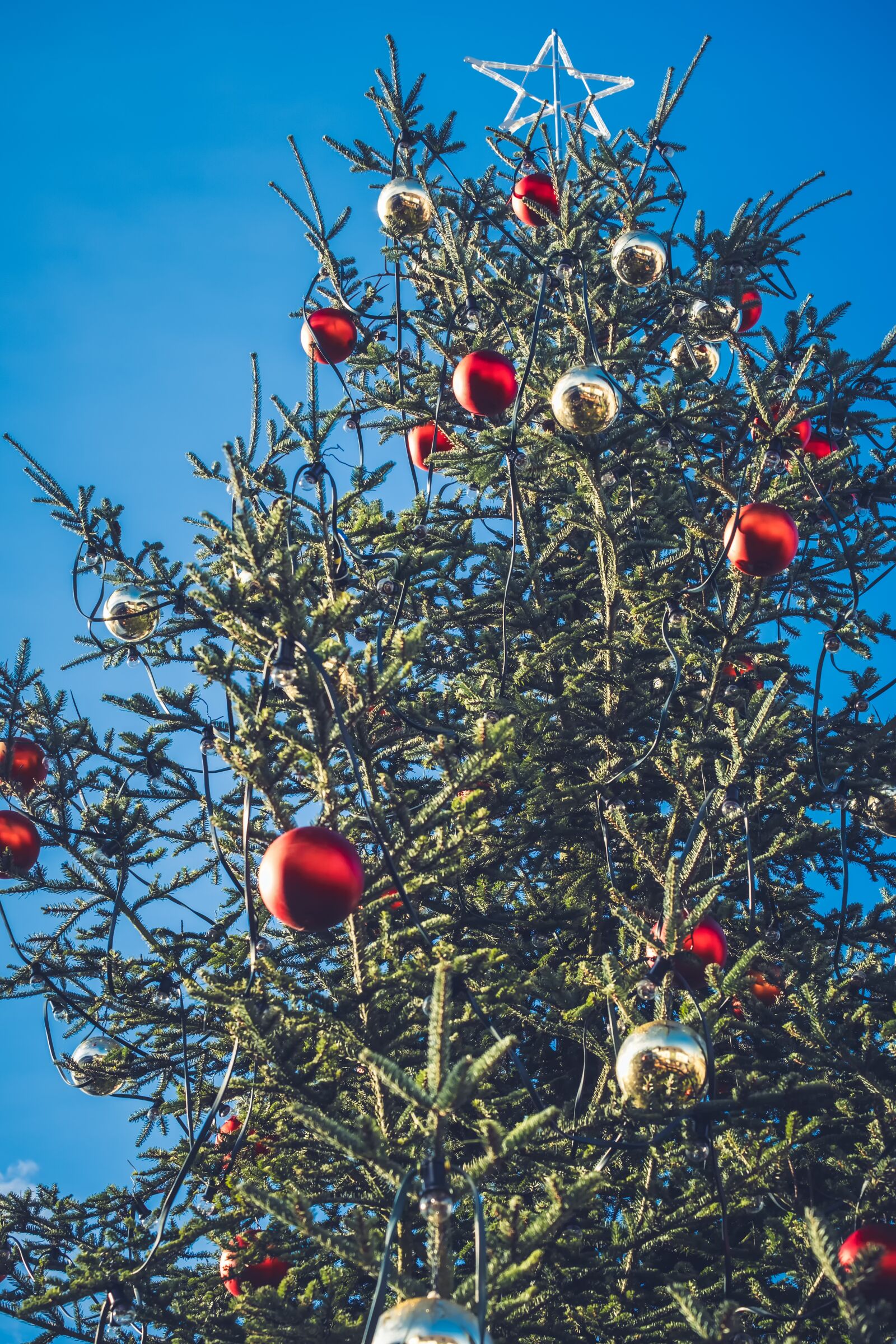 Fujifilm X-T30 + Fujifilm XF 55-200mm F3.5-4.8 R LM OIS sample photo. Christmas tree, christmas, fir photography