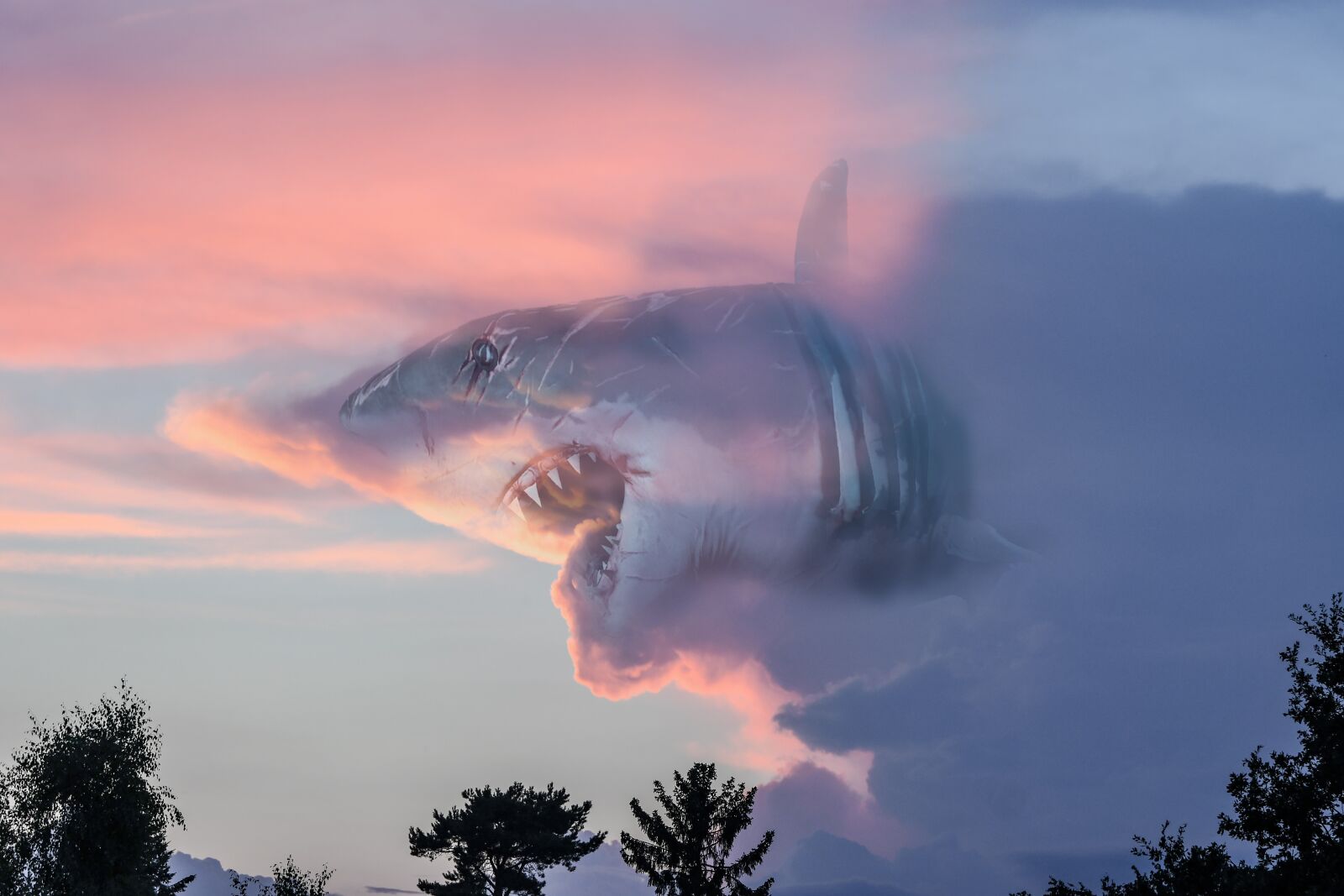 Nikon D500 sample photo. Hai, clouds, fantasy photography