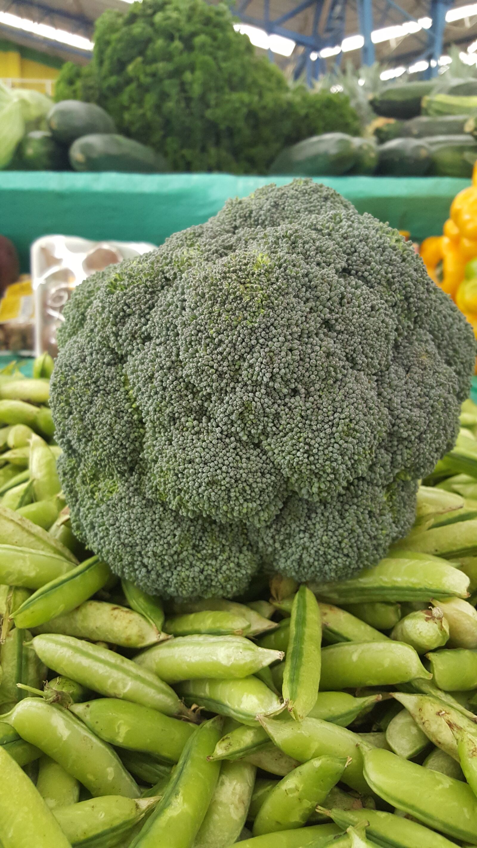 Samsung GALAXY S6 edge sample photo. Broccoli, green, vegetables photography