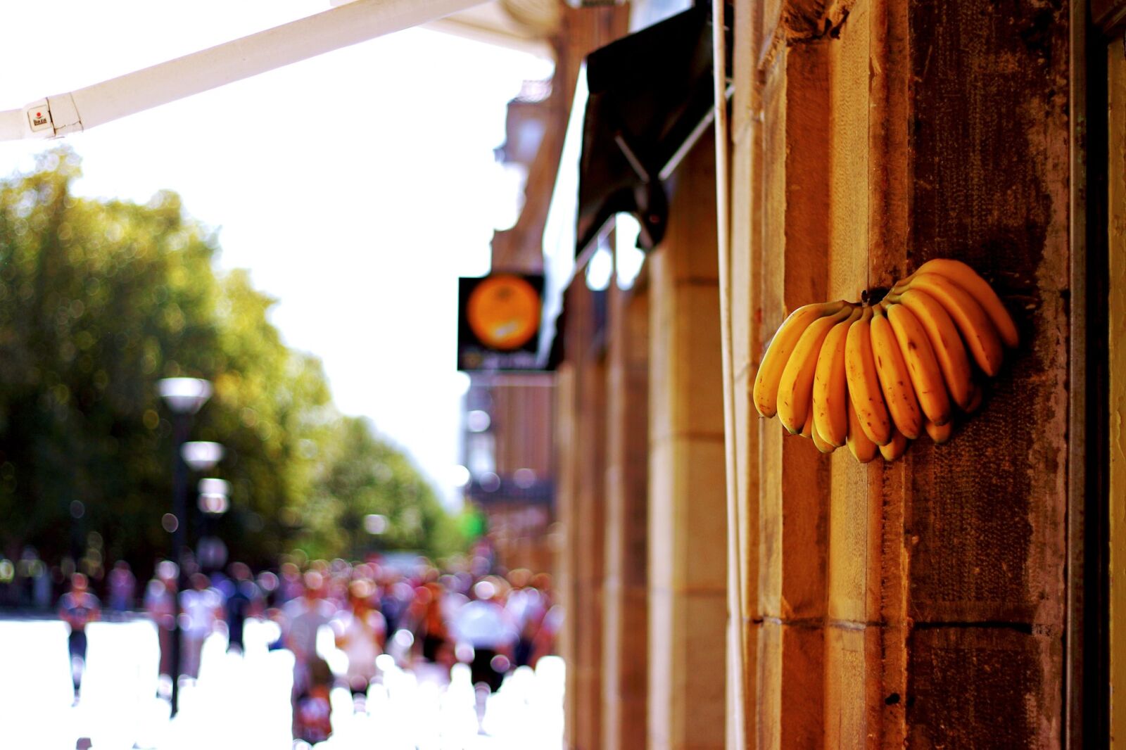 Canon EOS 500D (EOS Rebel T1i / EOS Kiss X3) sample photo. Banana, fruit, yellow photography