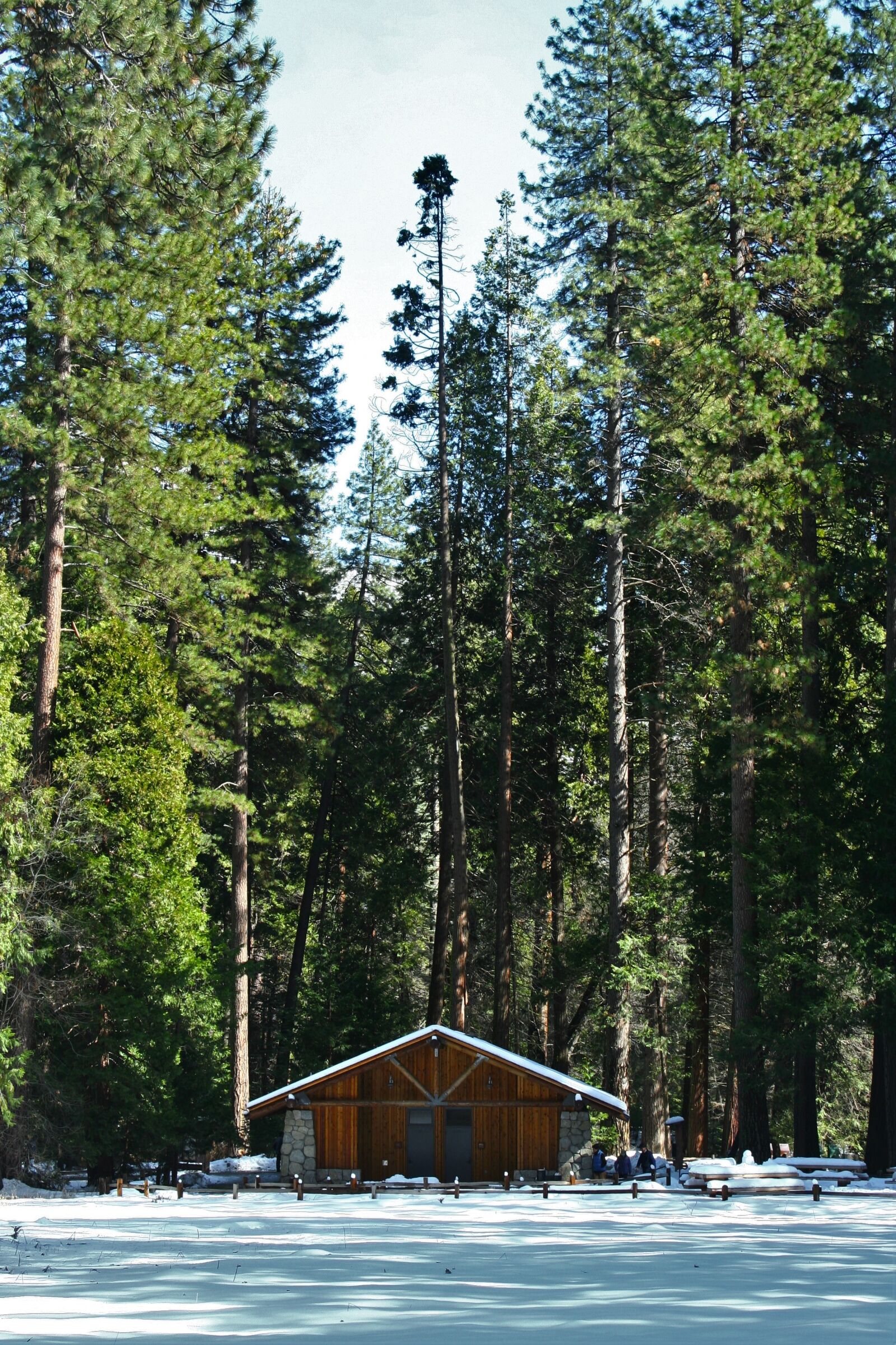 Canon EOS 350D (EOS Digital Rebel XT / EOS Kiss Digital N) sample photo. Yosemite, log house, mountain photography