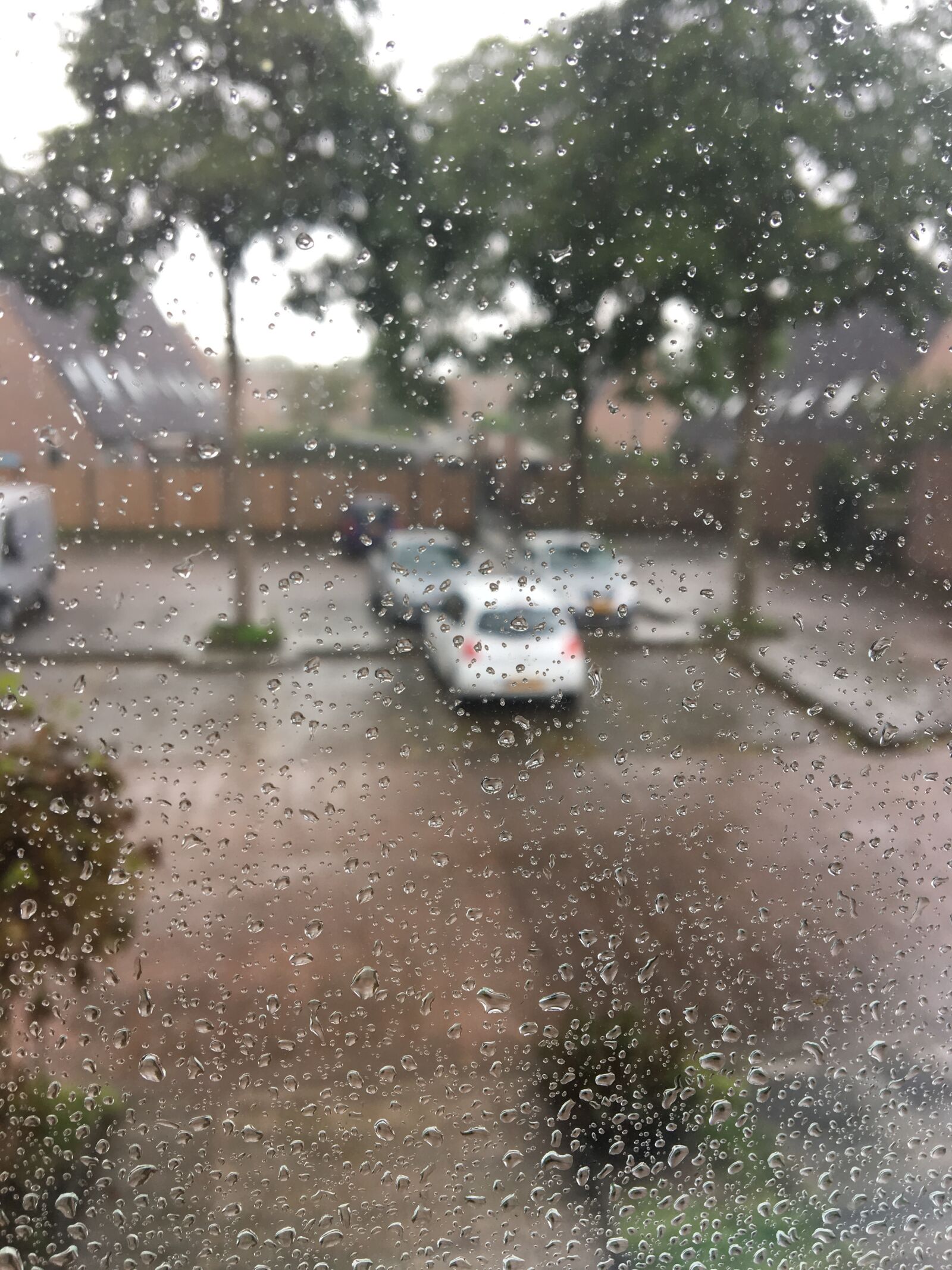 iPhone 6s back camera 4.15mm f/2.2 sample photo. Glass, on, rain, drops photography