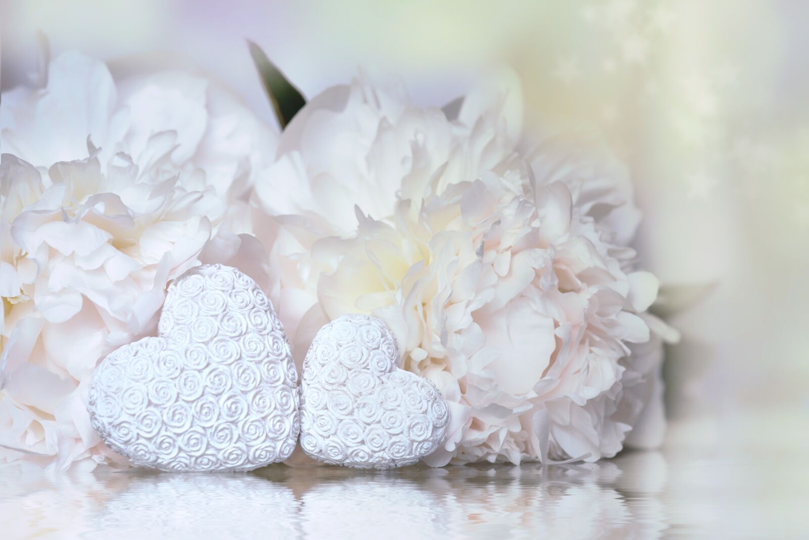Nikon D7100 sample photo. Heart, peony, white photography